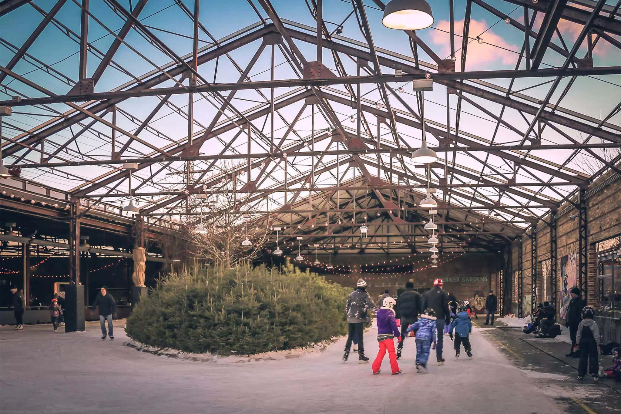 Evergreen Brick Works, winter skating, large evergreen tree, Full HD Desktop Wallpaper