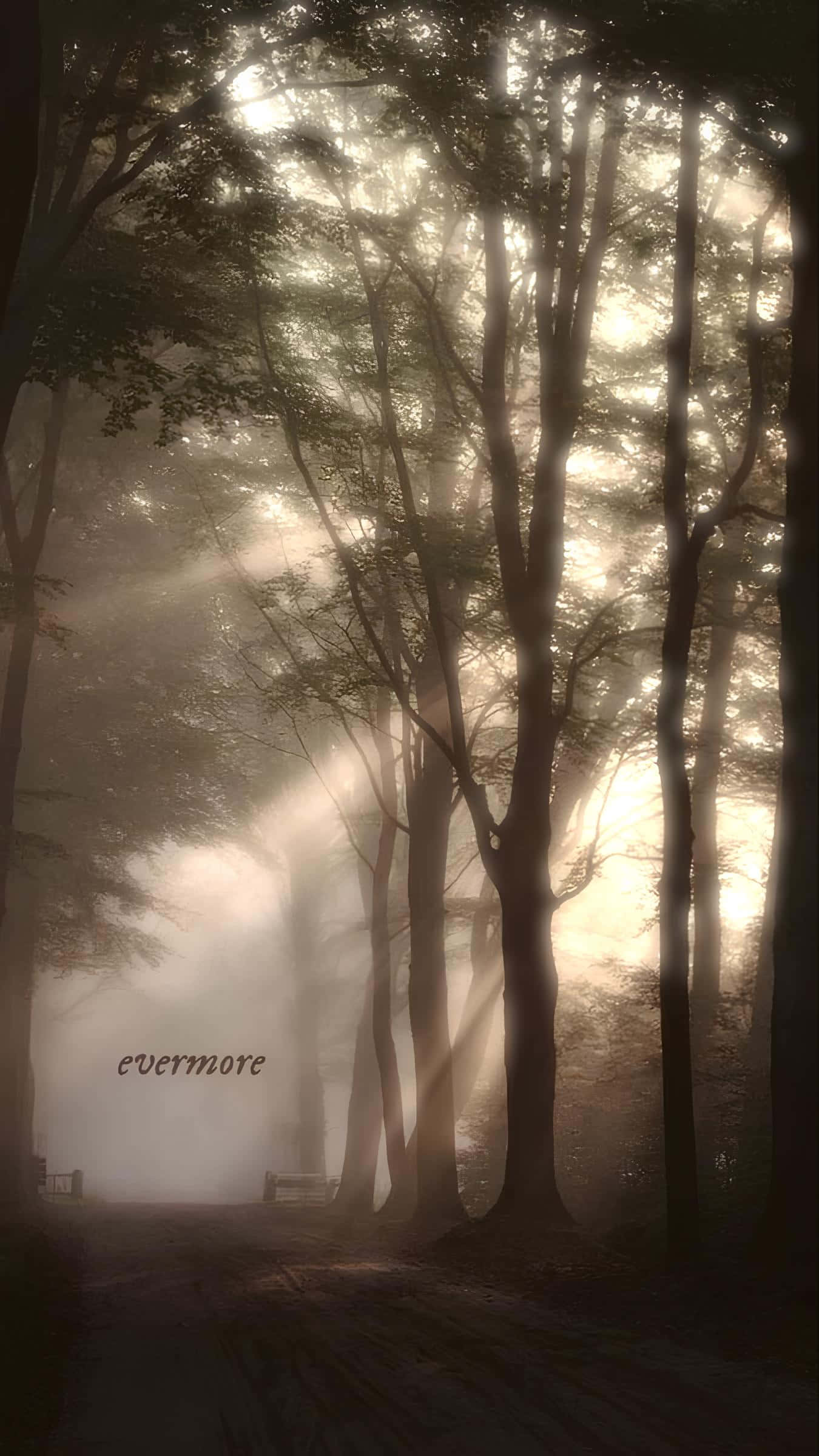 Evermore, mystical forest, sunbeams, Full HD Phone Wallpaper