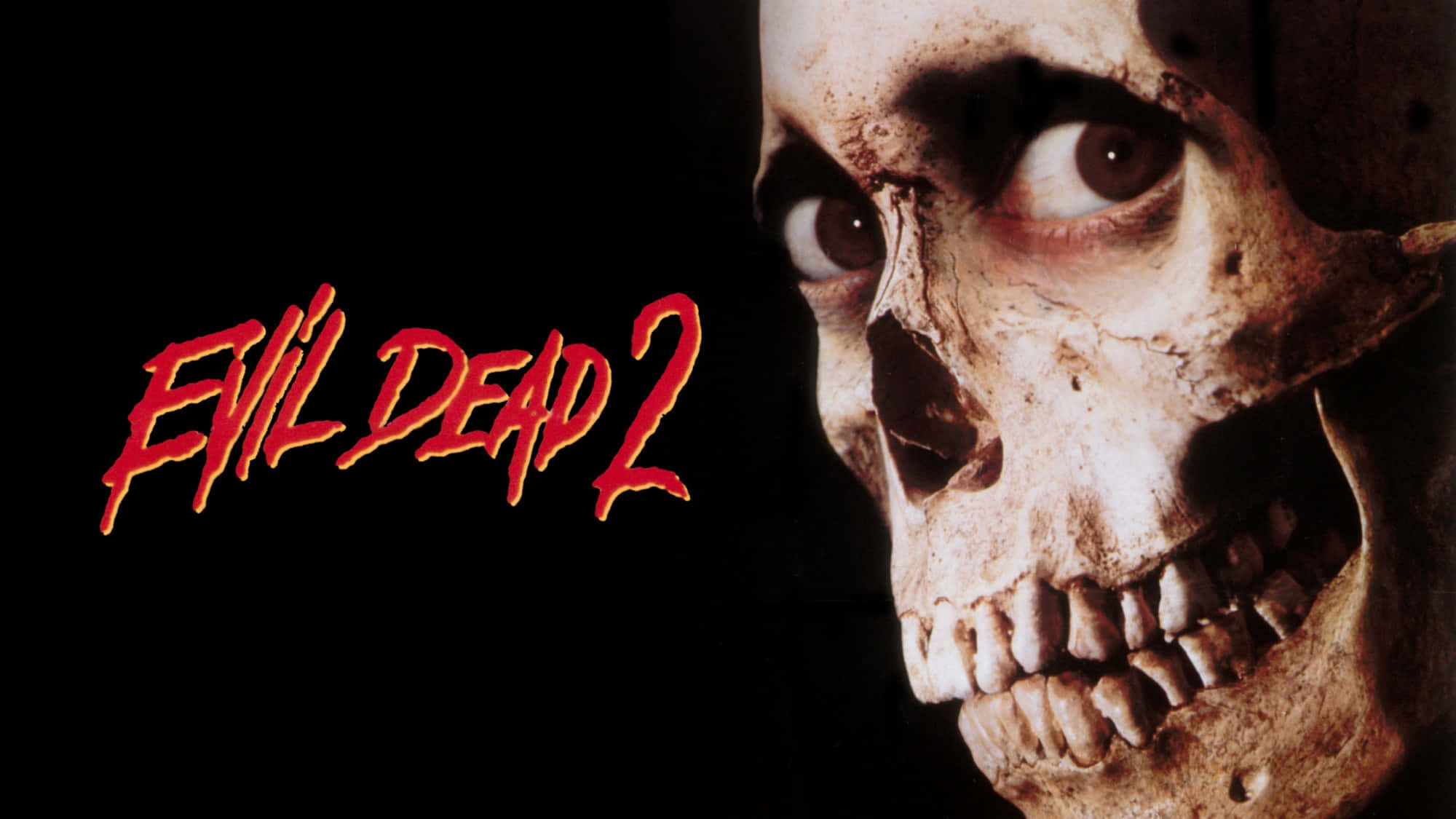 Evil Dead 2, skull, glowing eyes, Full HD Desktop Wallpaper