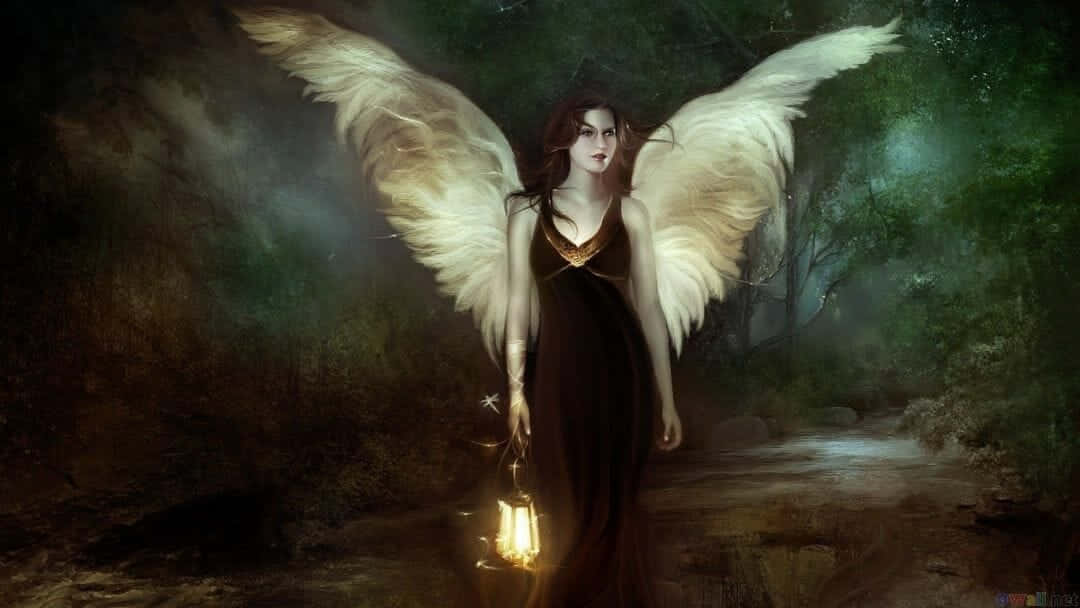 evil fairy, luminous angel, vast white wings, SD Desktop Wallpaper