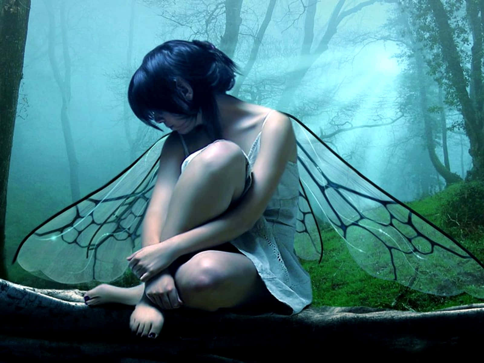 Evil Fairy, translucent wings, misty blue-green forest, HD Desktop Wallpaper