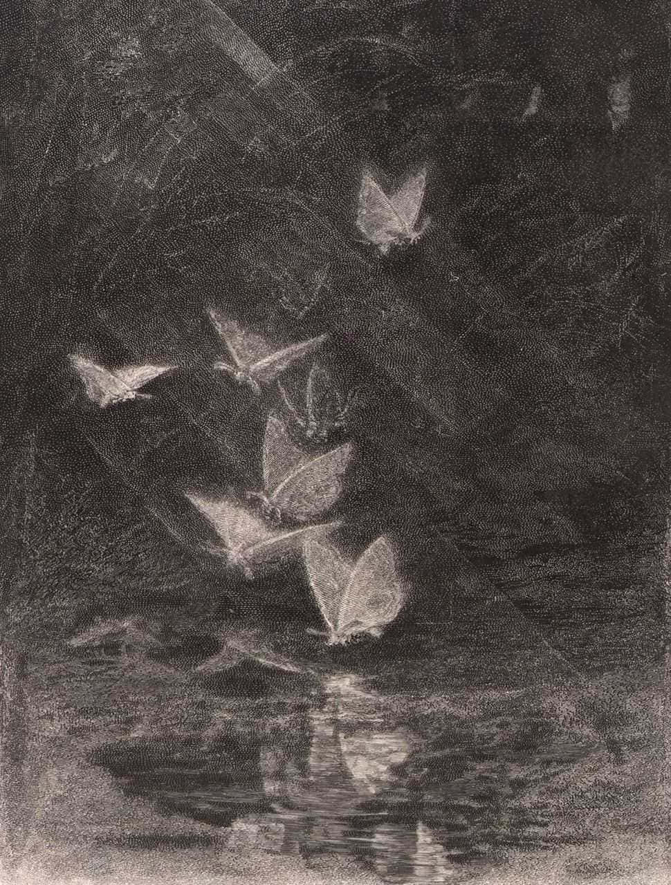 Evil Fairy, monochrome charcoal drawing, butterflies, HD Phone Wallpaper