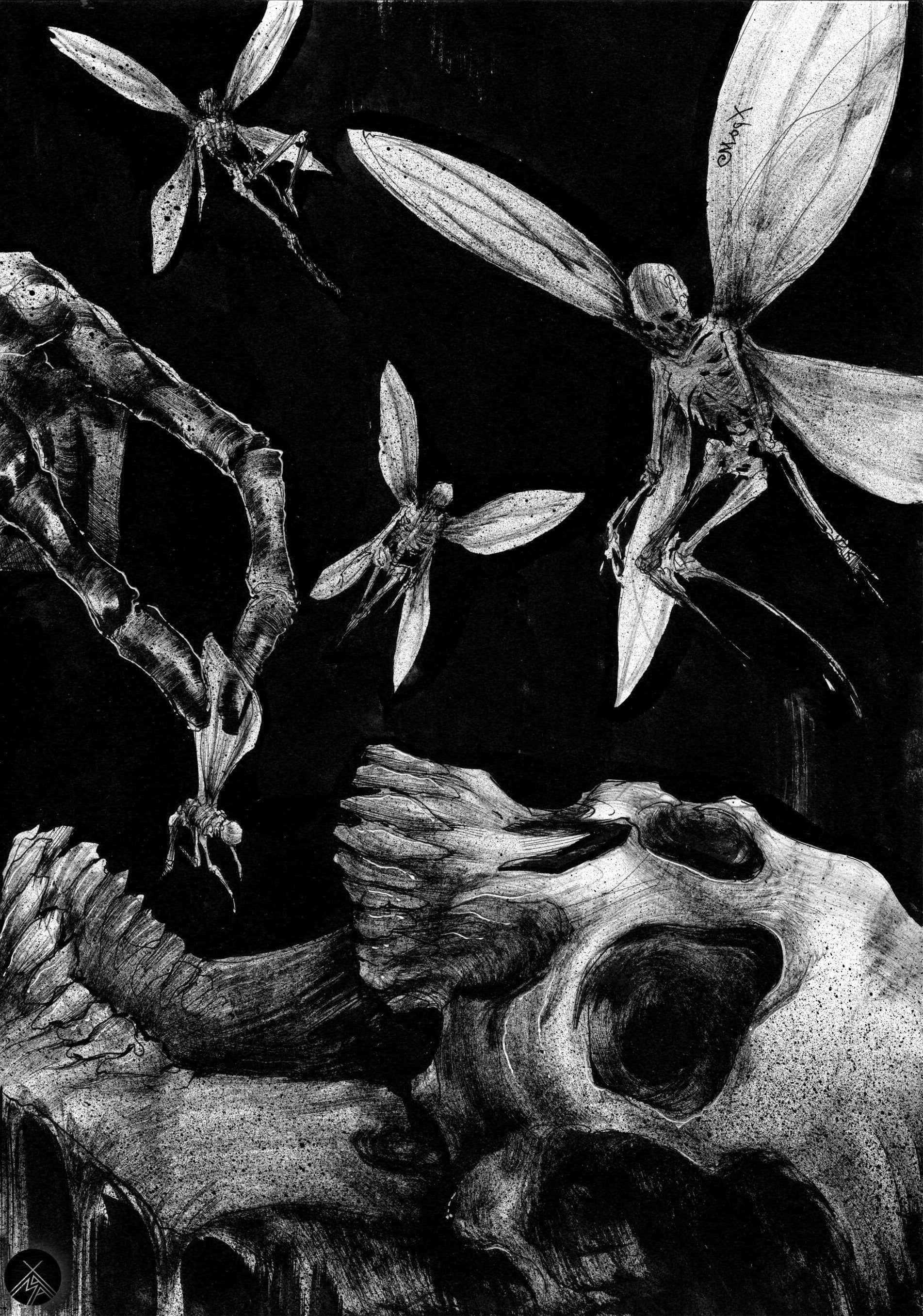 Evil Fairy, skull, dragonfly, 2K Phone Wallpaper
