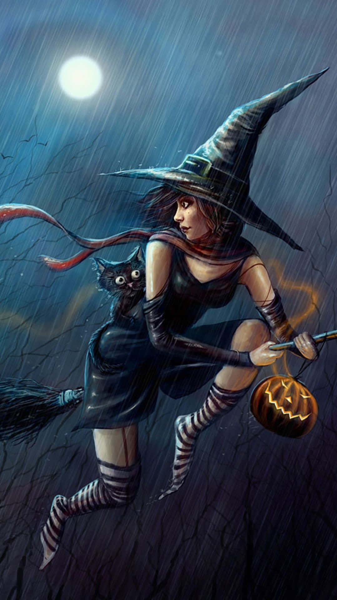 Evil Witch, broomstick, rainy night sky, Full HD Phone Wallpaper