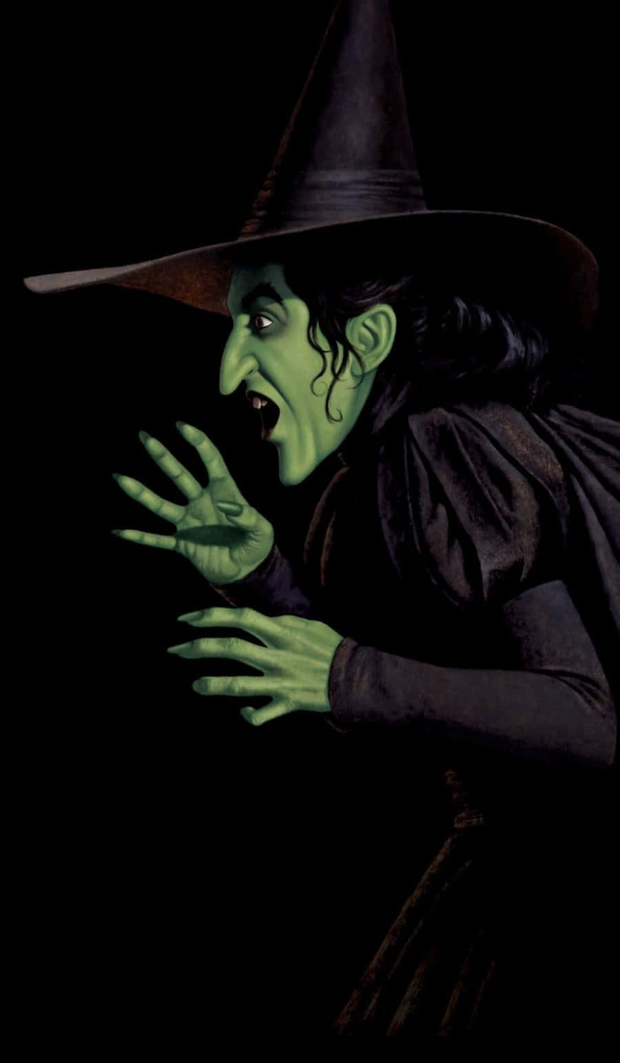 Evil Witch, green-skinned, pointed hat, HD Phone Wallpaper