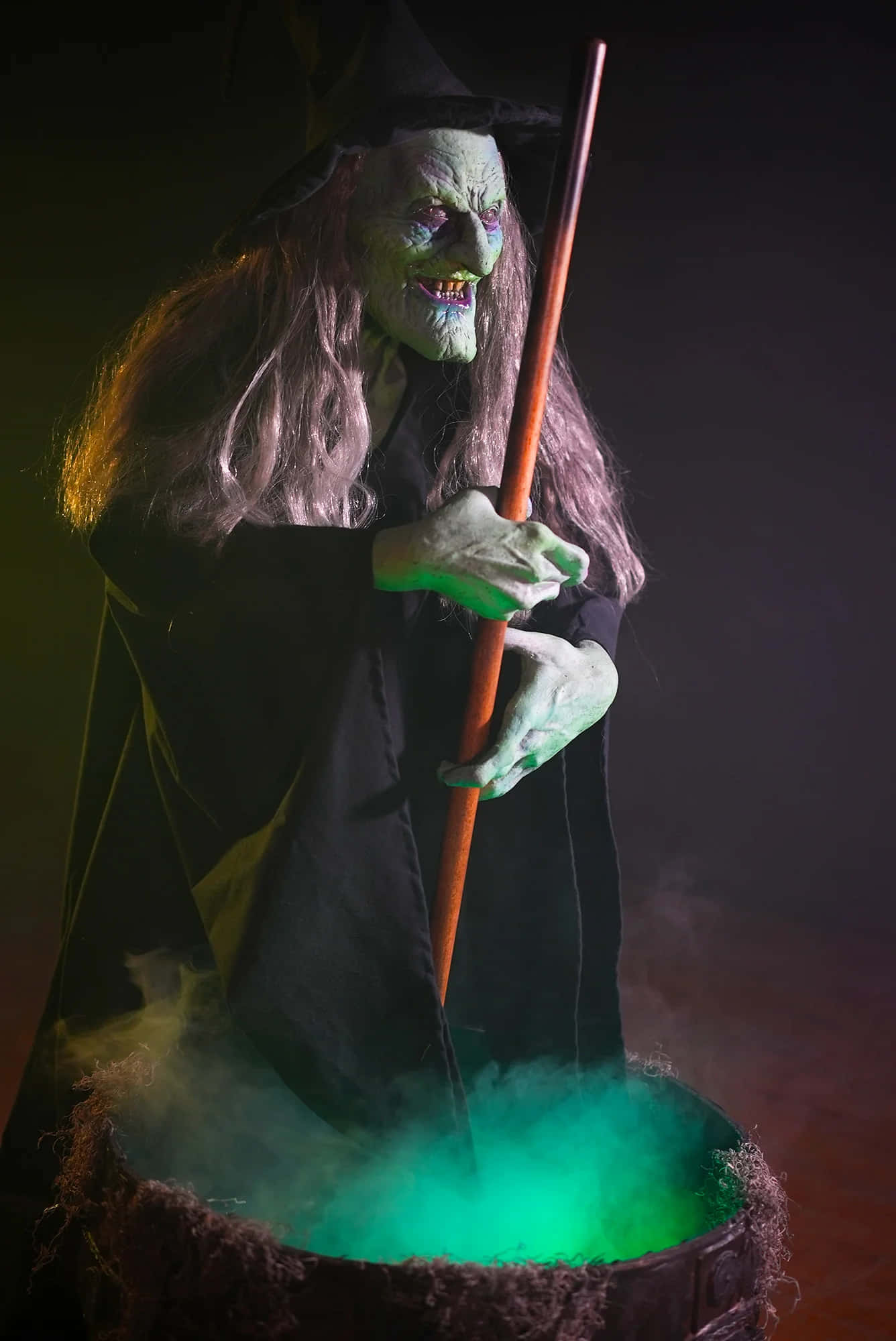Evil Witch, green-skinned witch, long hair, Full HD Phone Wallpaper