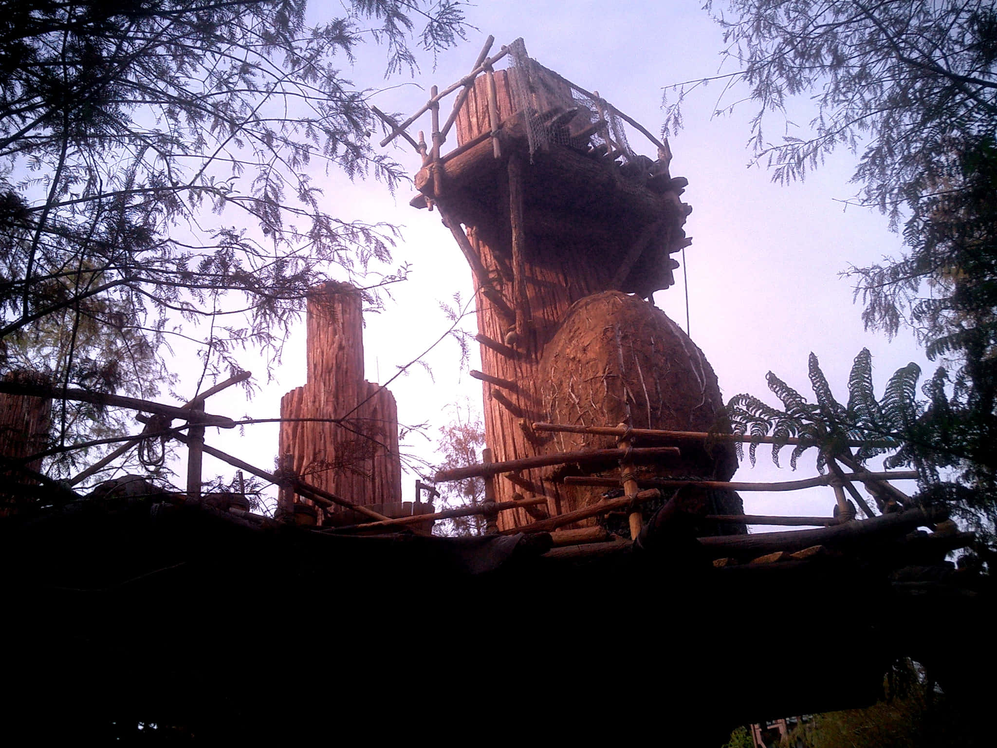 Ewok Village, treehouse, massive tree trunk, Full HD Desktop Wallpaper