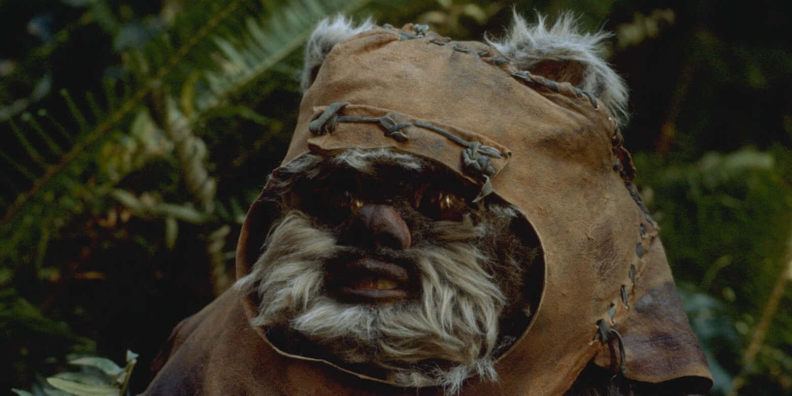 Ewoks, brown hooded cloak, lush green jungle, HD Desktop Wallpaper