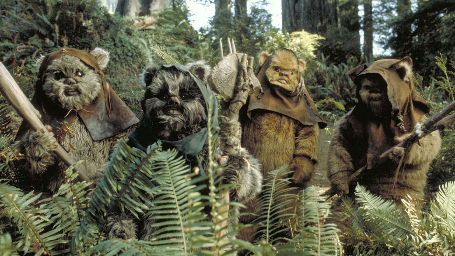 Ewoks, brown cloaks, lush fern-filled forest, HD Desktop Wallpaper
