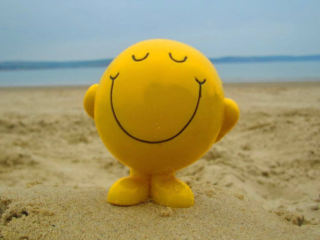 Excited Smiley Plushie, yellow smiley toy, sandy beach, SD Desktop Wallpaper