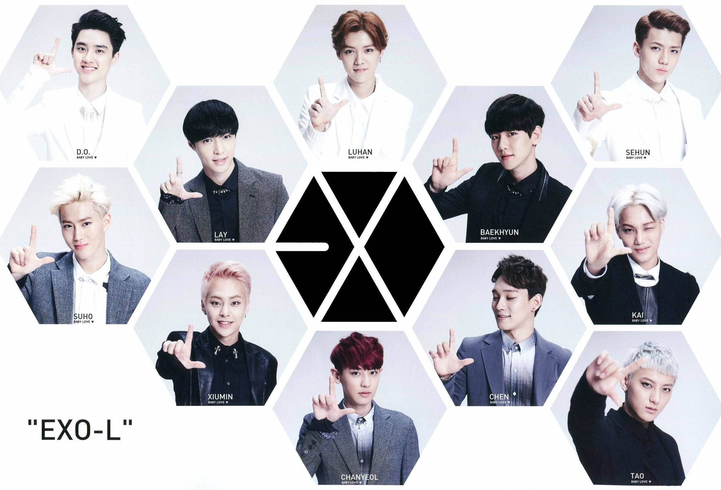Hexagonal Exo Desktop, K-pop idols, black logo, Full HD Desktop Wallpaper