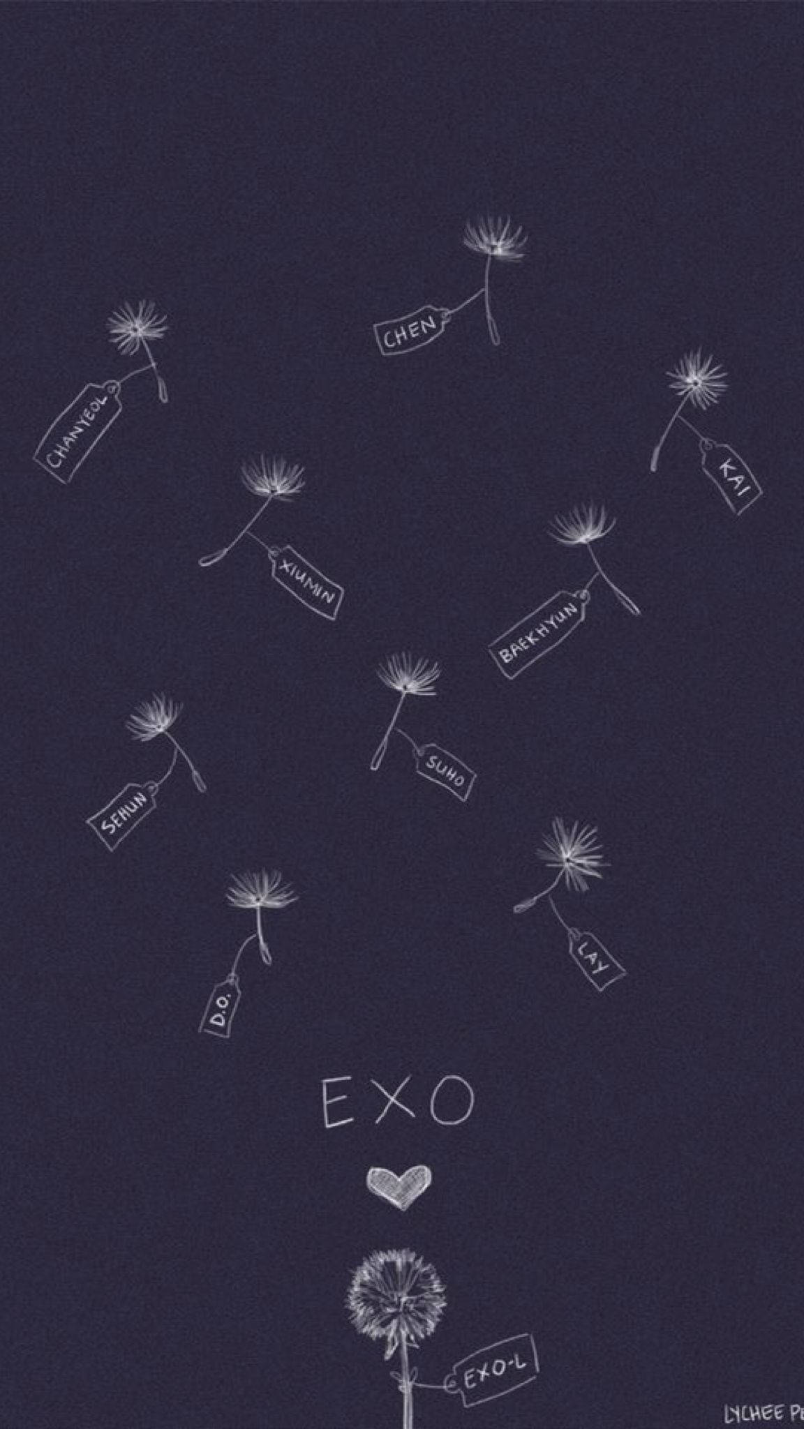 EXO, white dandelion drawings, member names, Full HD Phone Wallpaper