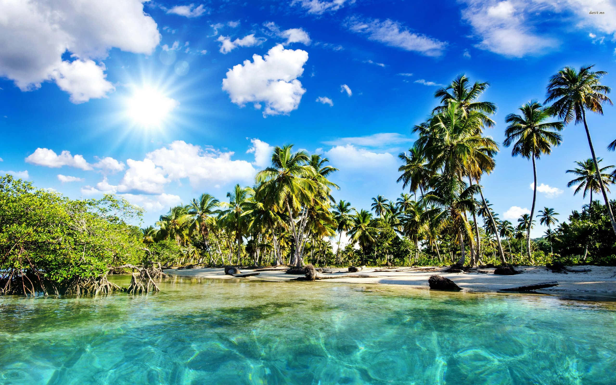 palm trees, turquoise lagoon, white sand, 2K Desktop Wallpaper