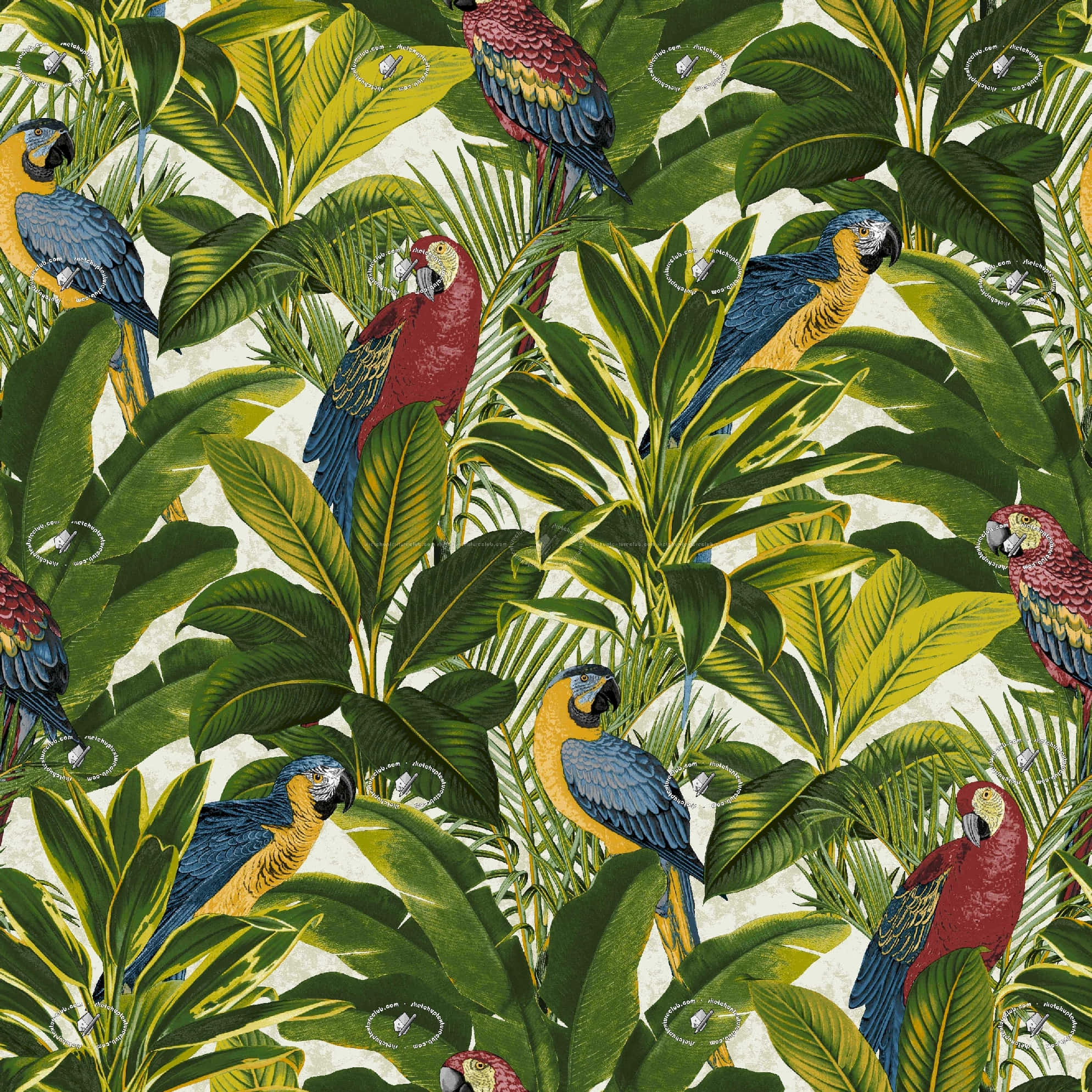 vibrant parrots, lush green tropical leaves, dense jungle pattern, Full HD Desktop Wallpaper