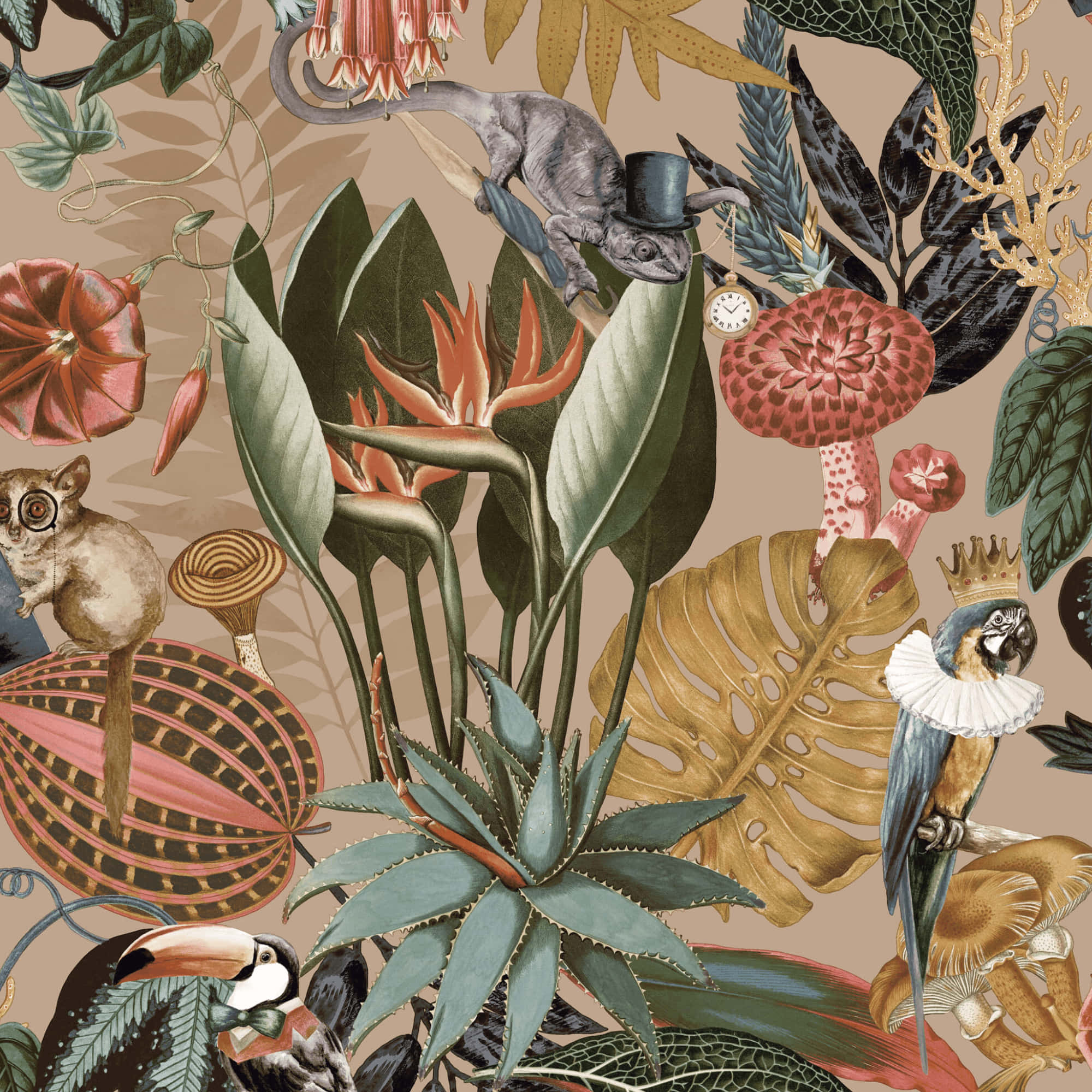 toucans, parrots, chameleons, Full HD Desktop Wallpaper