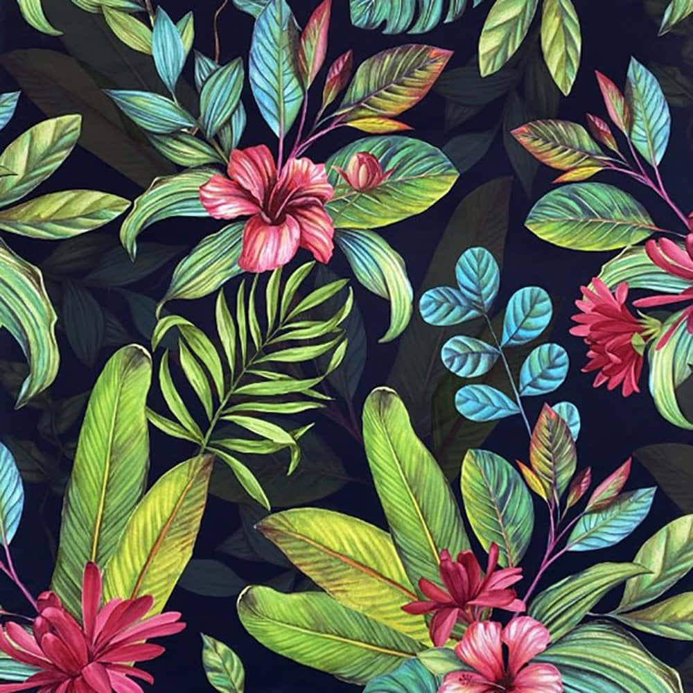 vibrant pink hibiscus flowers, lush green leaves, teal accents, SD Desktop Wallpaper