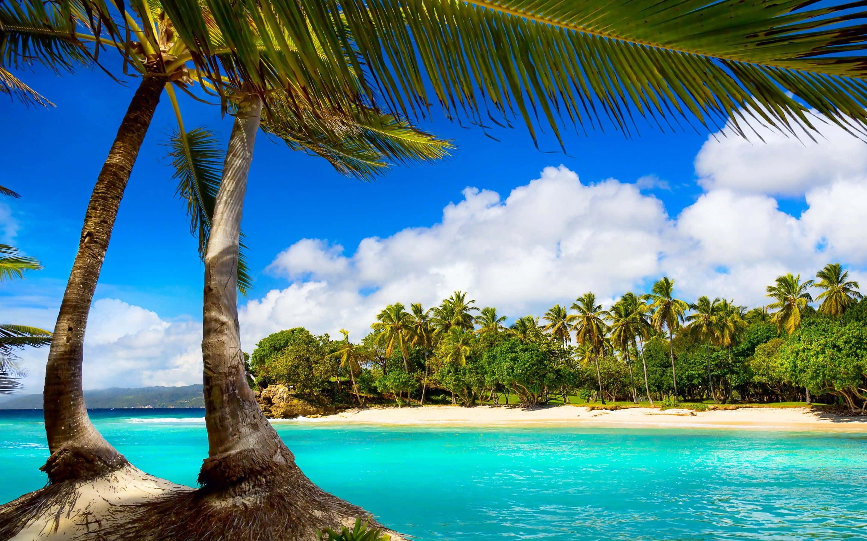 tropical paradise, turquoise waters, white sand, 2K Desktop Wallpaper