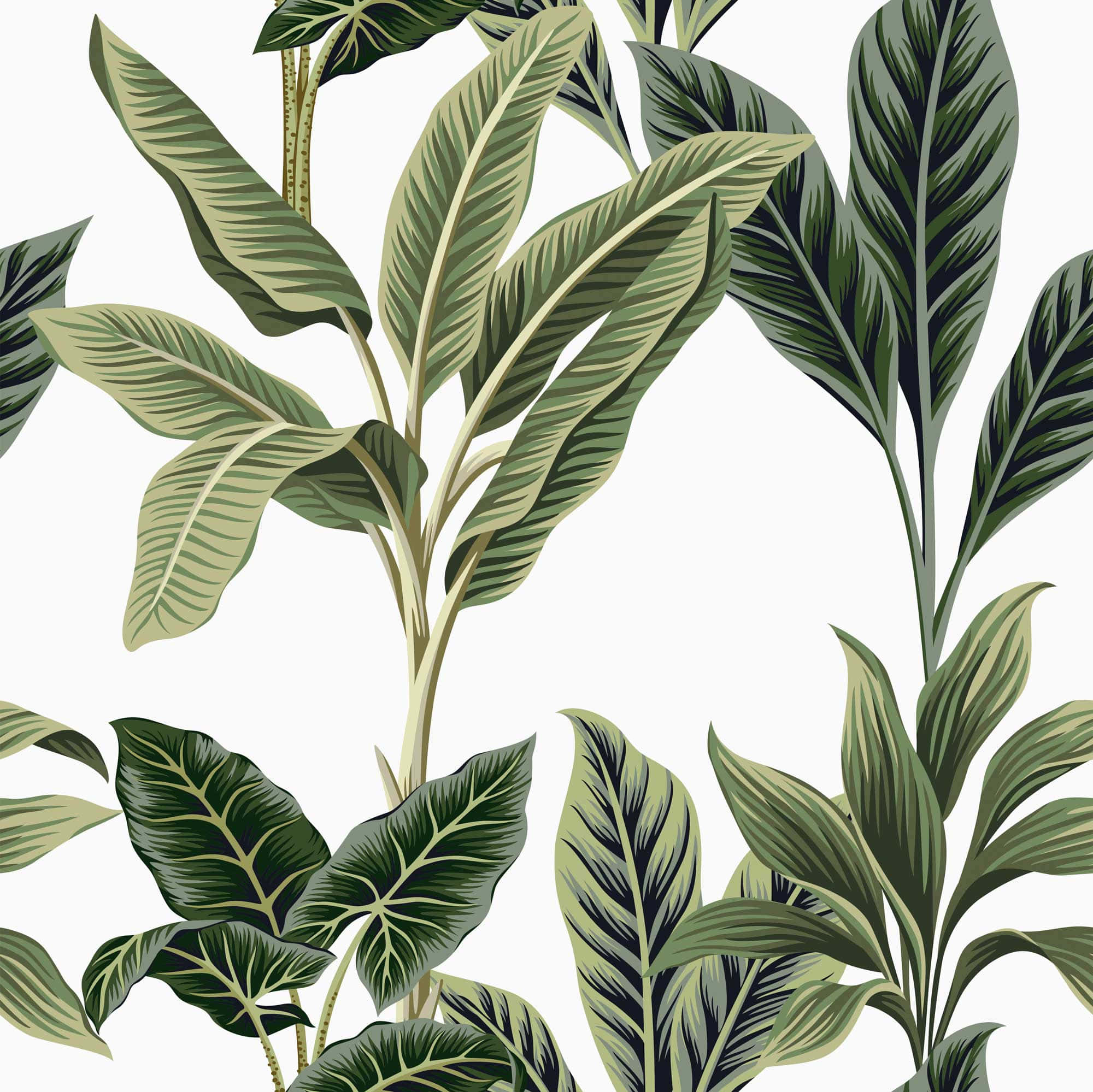 Exotic, minimalist, leaves, Full HD Desktop Wallpaper