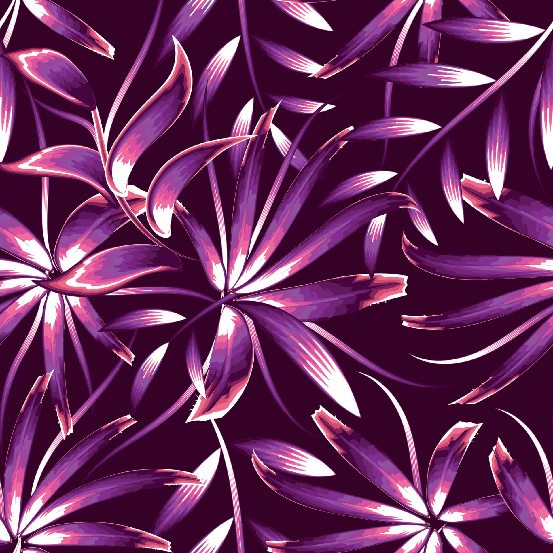 exotic, purple flowers, tropical leaves, Full HD Desktop Wallpaper