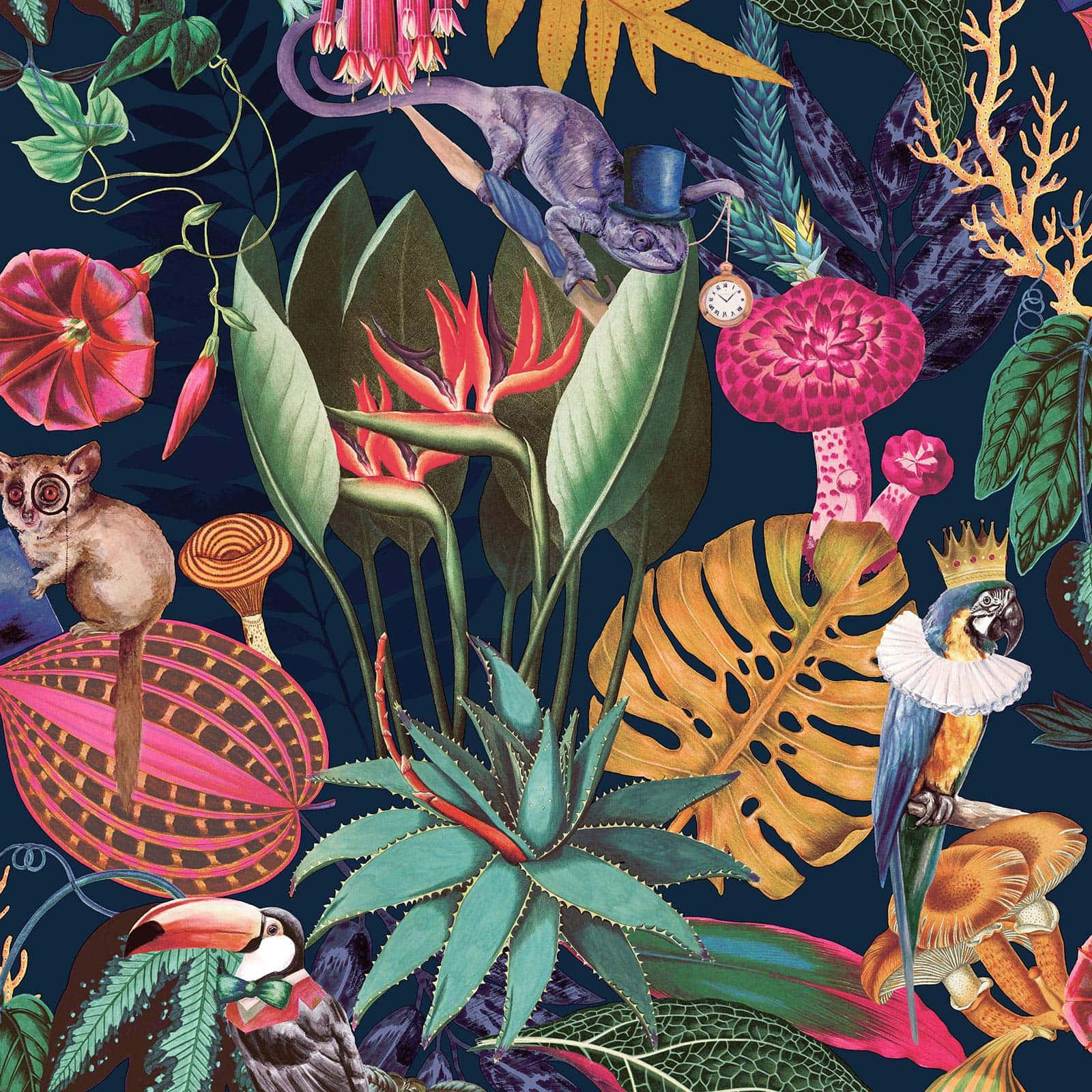 toucans, parrots, chameleons, HD Desktop Wallpaper