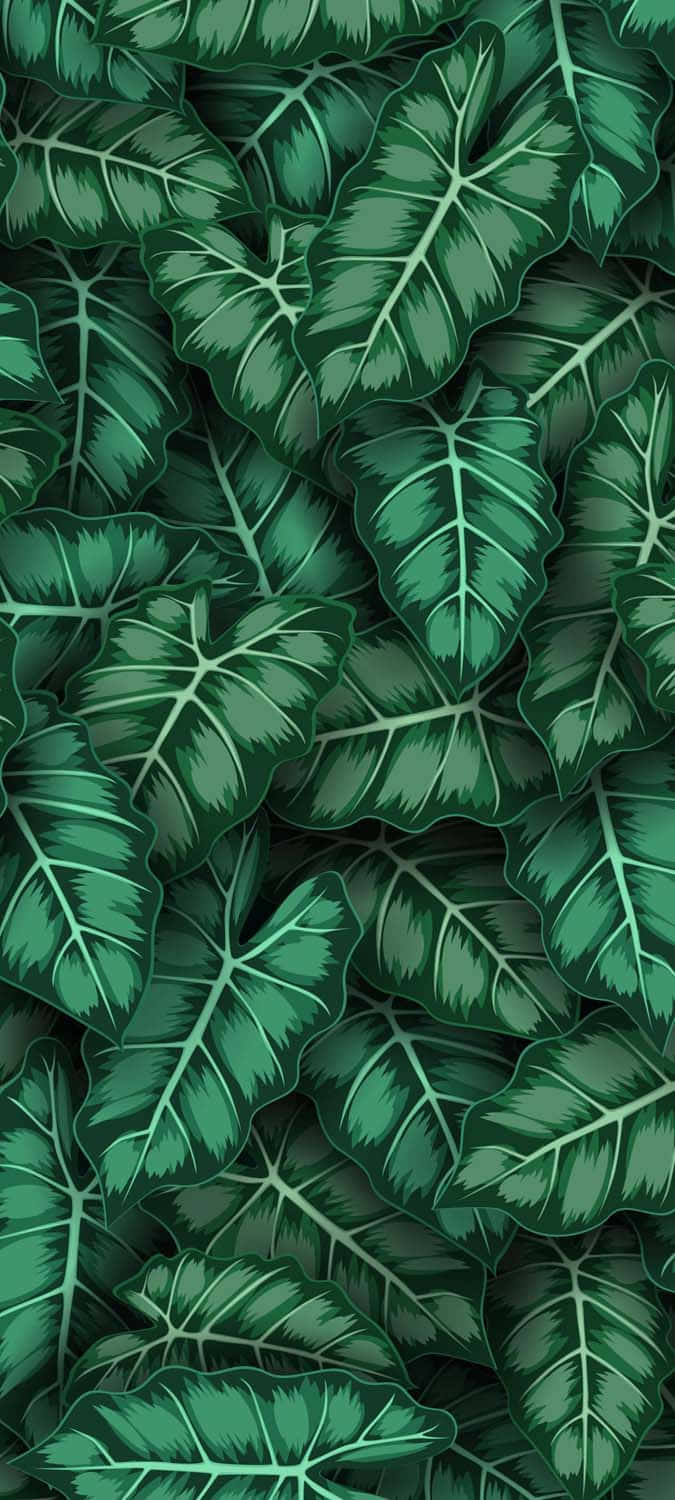 Exotic Leaves Art, lush green tropical leaves, prominent veins, HD Phone Wallpaper