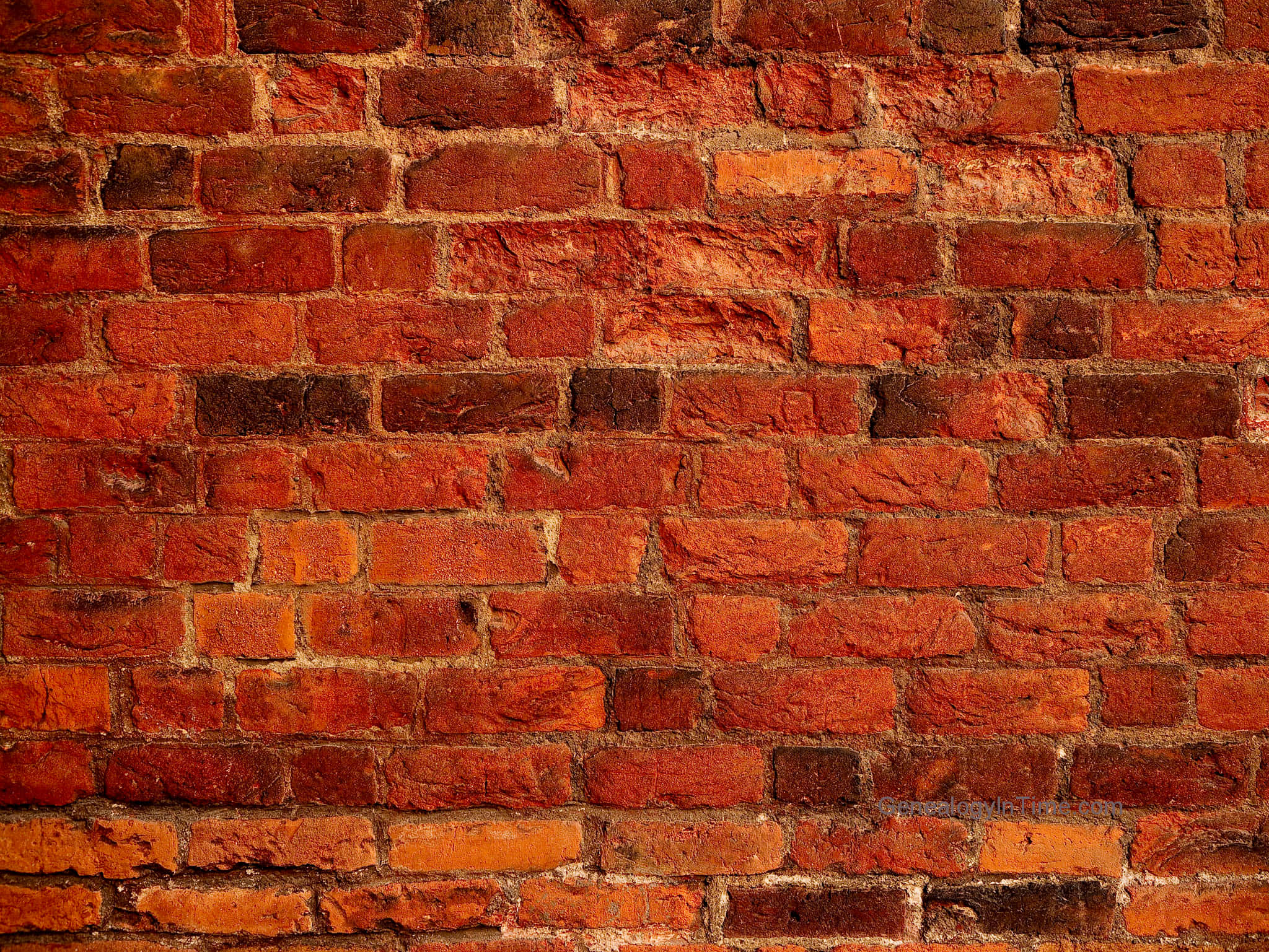 brick wall, red brick, textured mortar, Full HD Desktop Wallpaper
