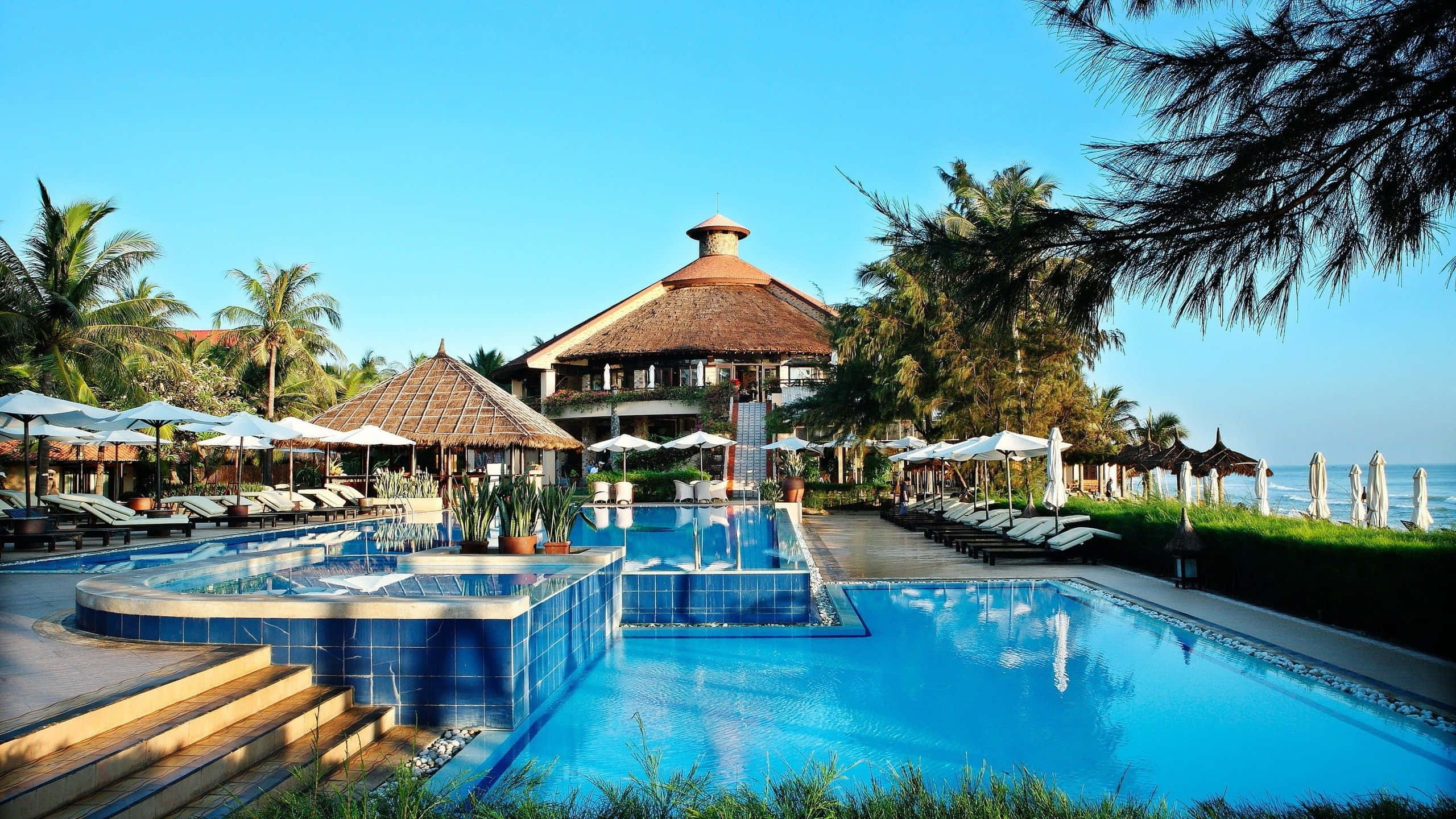 Extravagant Resort Pool, blue pool, palm trees, 2K Desktop Wallpaper