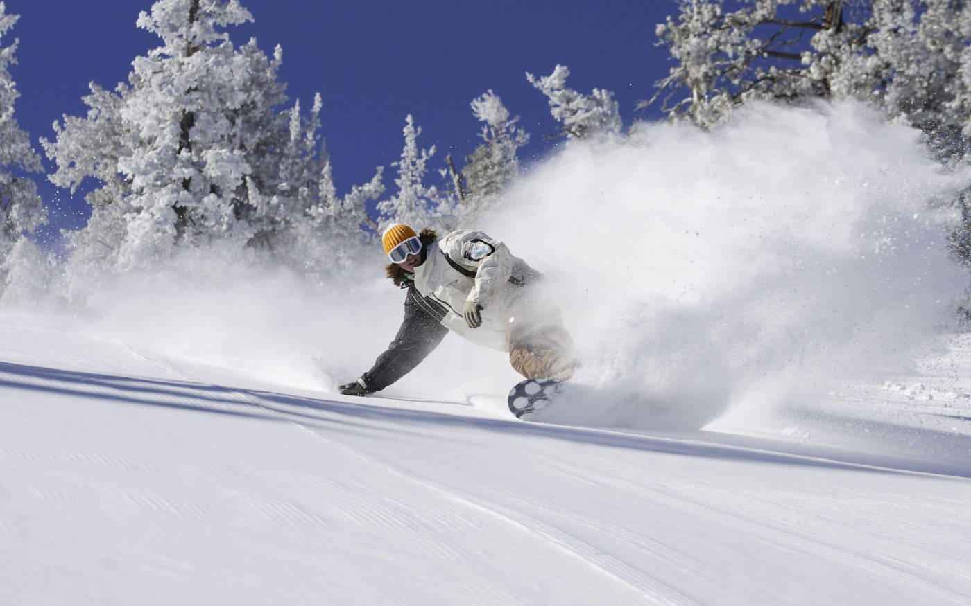snowboarder, snowboard, fresh powder, HD Desktop Wallpaper