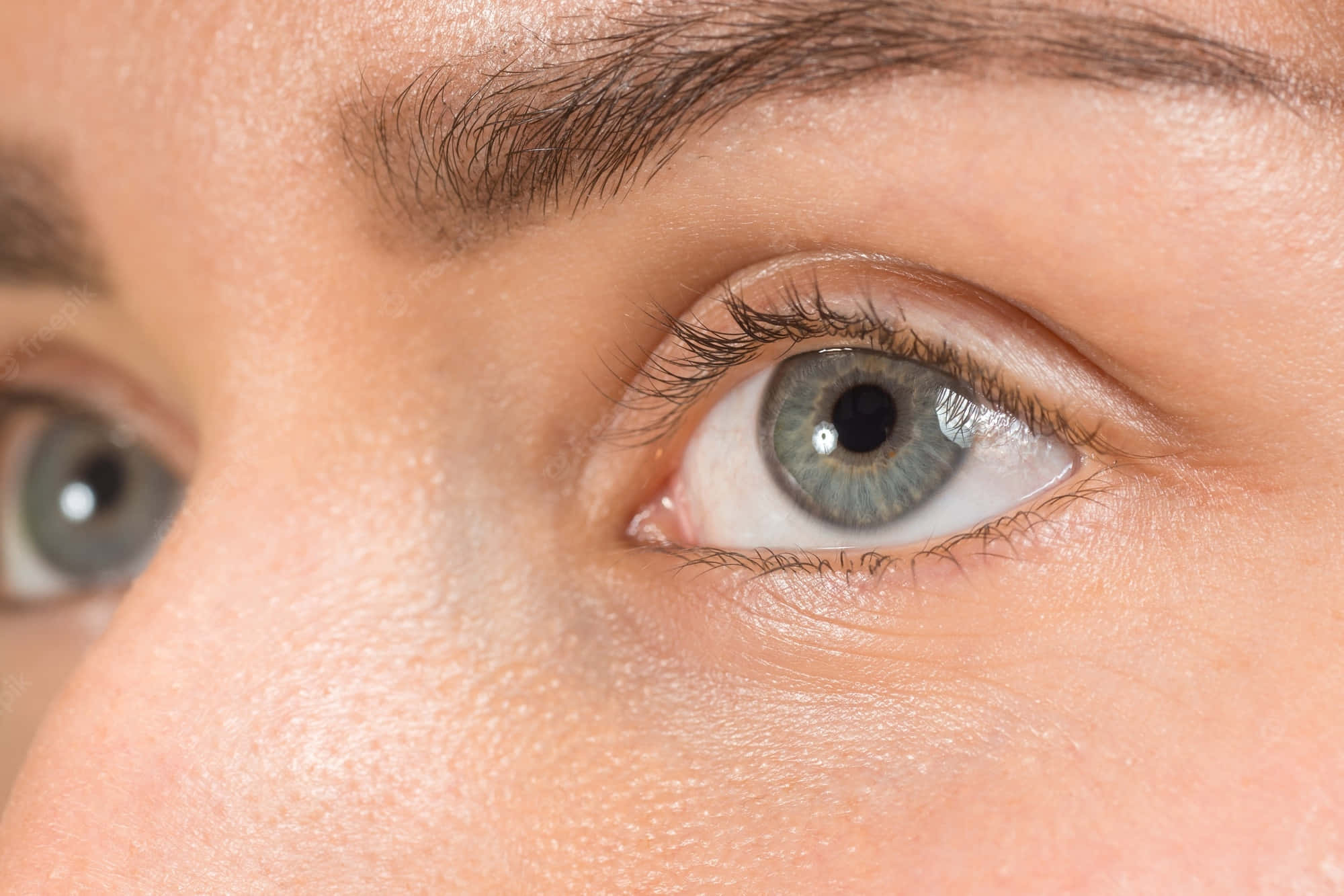 gray green eye, human eye, detailed lashes, Full HD Desktop Wallpaper