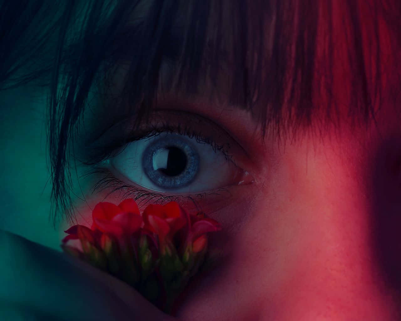 eye closeup, red flowers, red and teal lighting, HD Desktop Wallpaper
