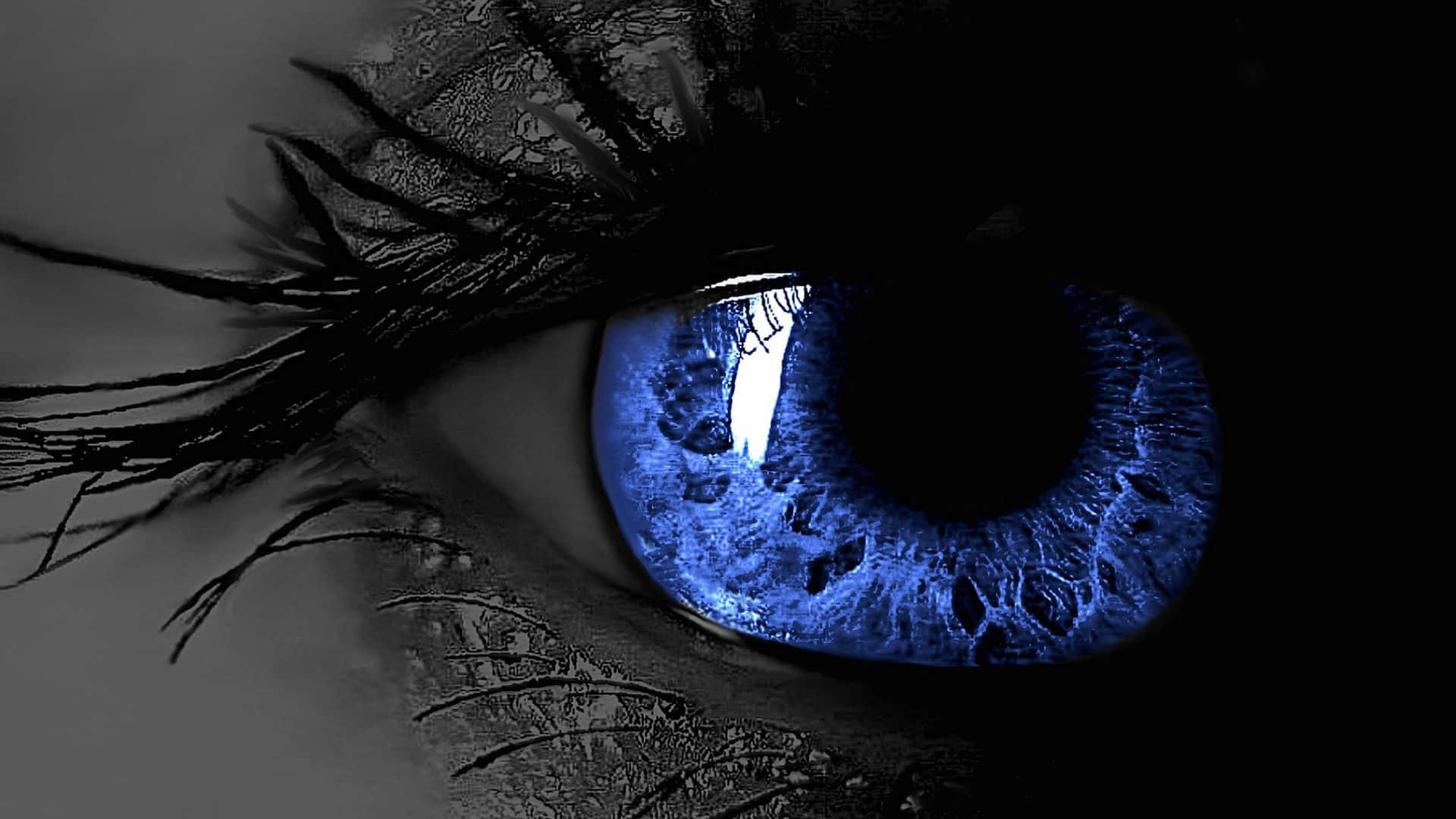 cold blue eye closeup, vivid blue eye, dramatic black lashes, Full HD Desktop Wallpaper