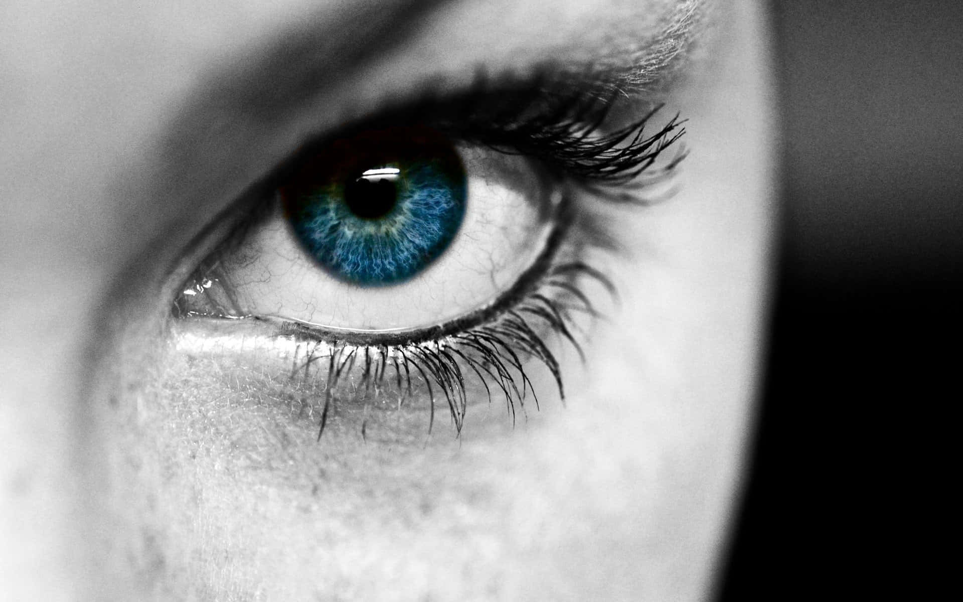 blue eye, vivid blue iris, monochrome face, Full HD Desktop Wallpaper