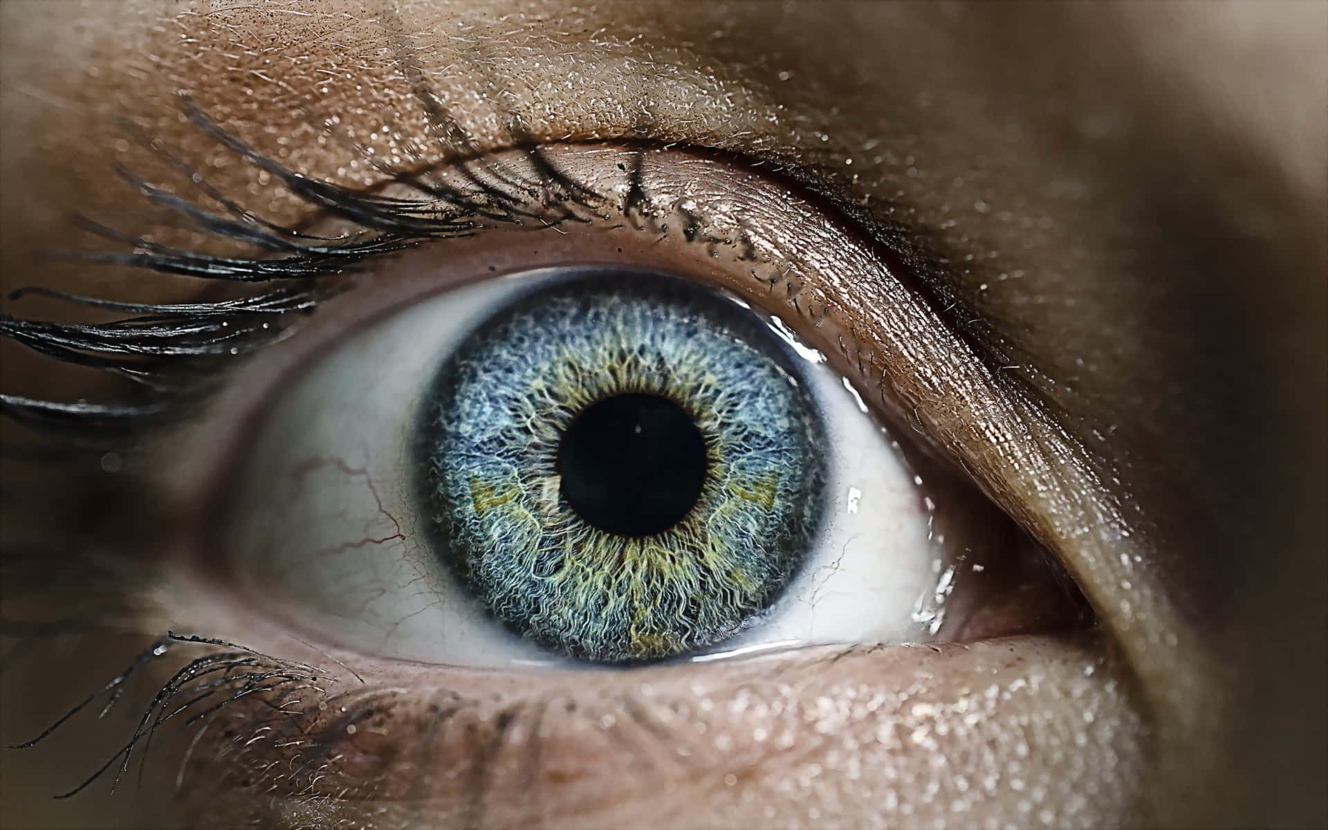 icy blue eye closeup, vivid blue iris, green flecks, Full HD Desktop Wallpaper