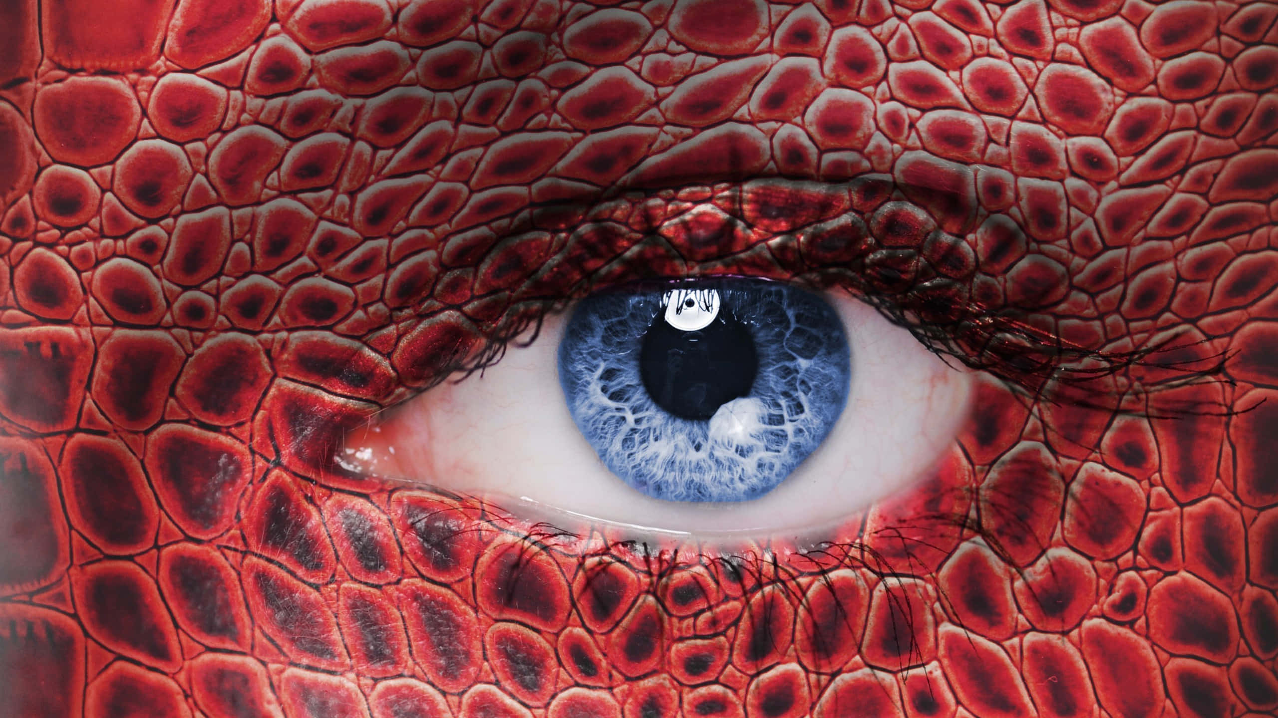 blue eye, red dragon skin, textured scales, 2K Desktop Wallpaper