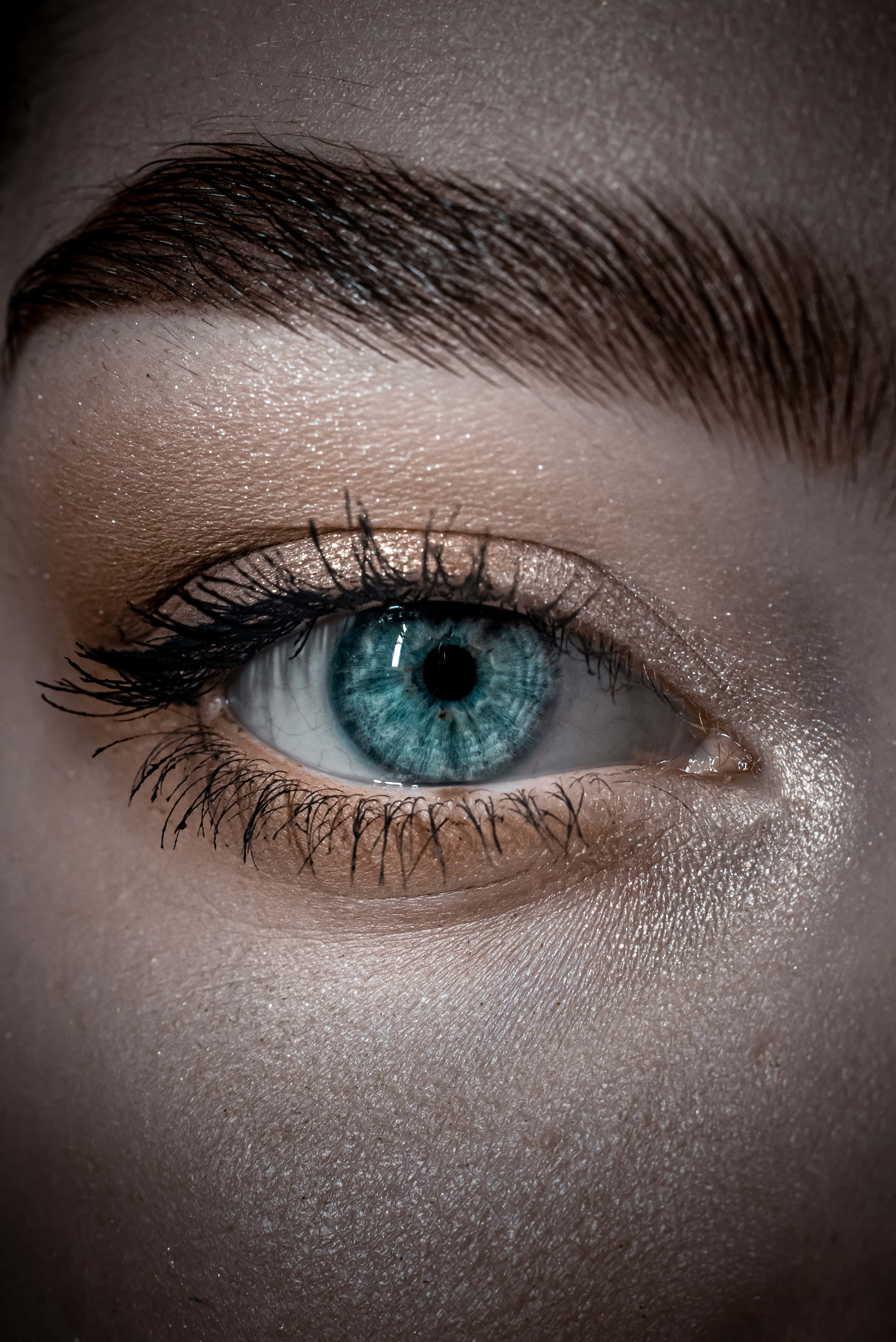 blue iris, shimmering gold eyeshadow, soft lighting, 4K Phone Wallpaper