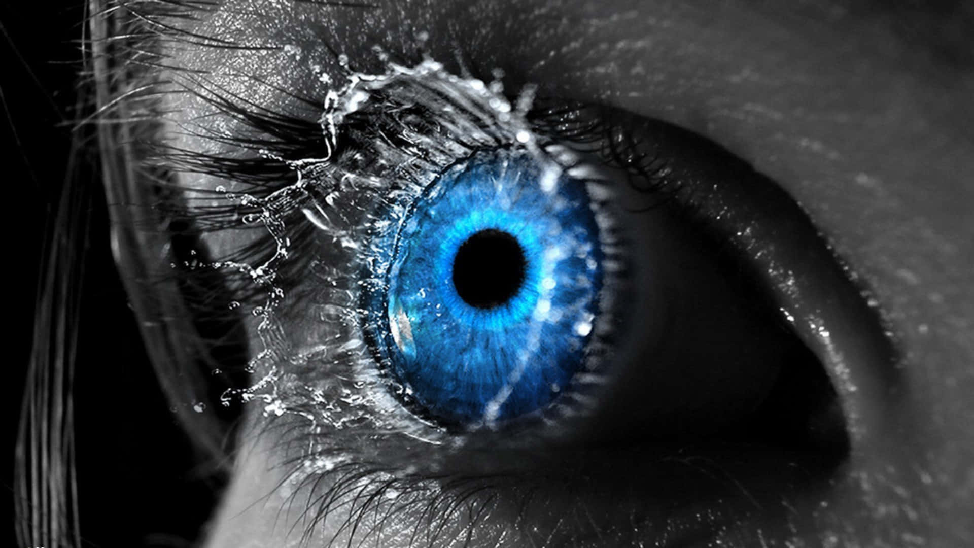 eye closeup, vivid blue eye, water droplets, Full HD Desktop Wallpaper