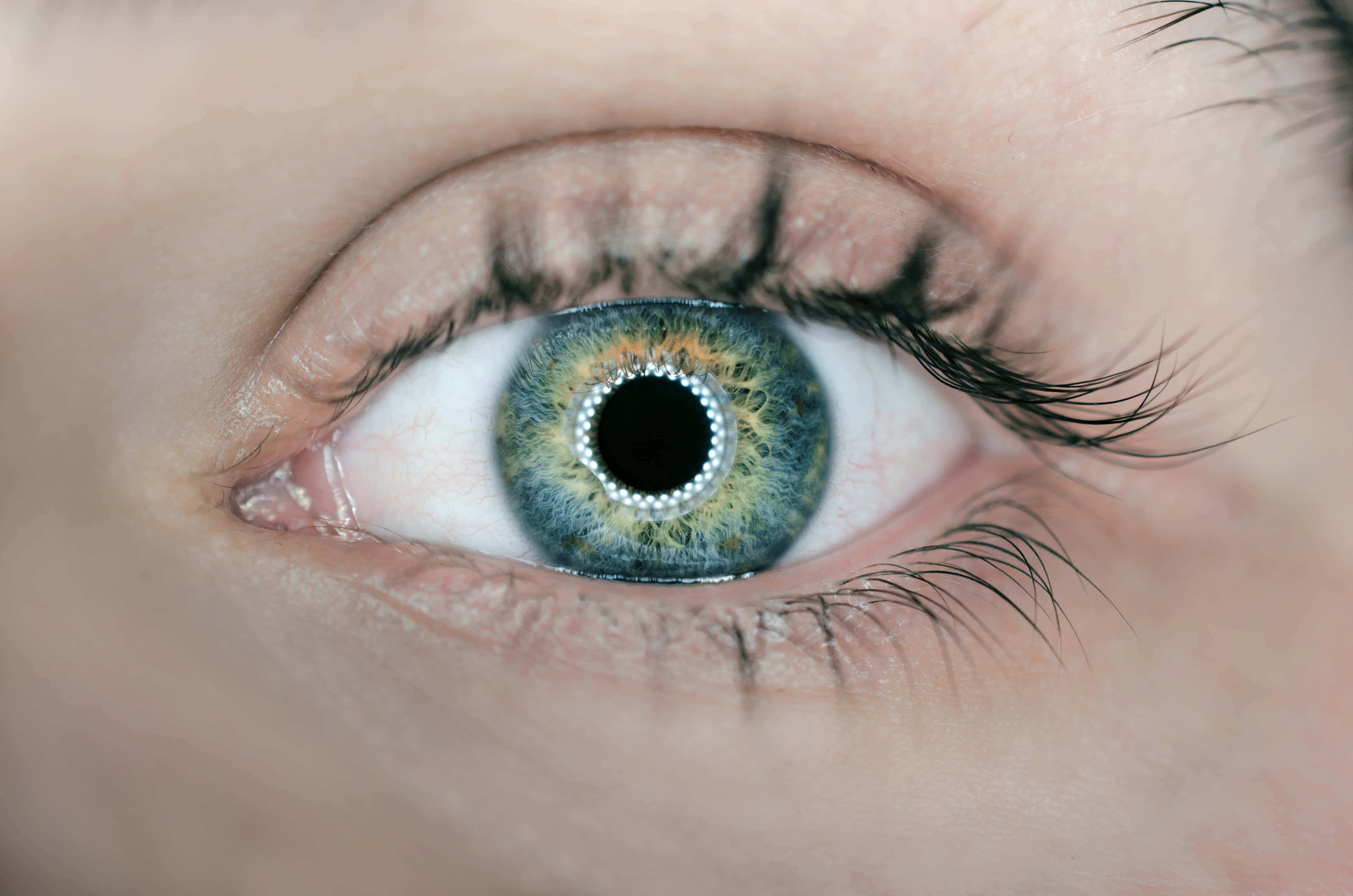 green eye, human eye, vivid green iris, 4K Desktop Wallpaper