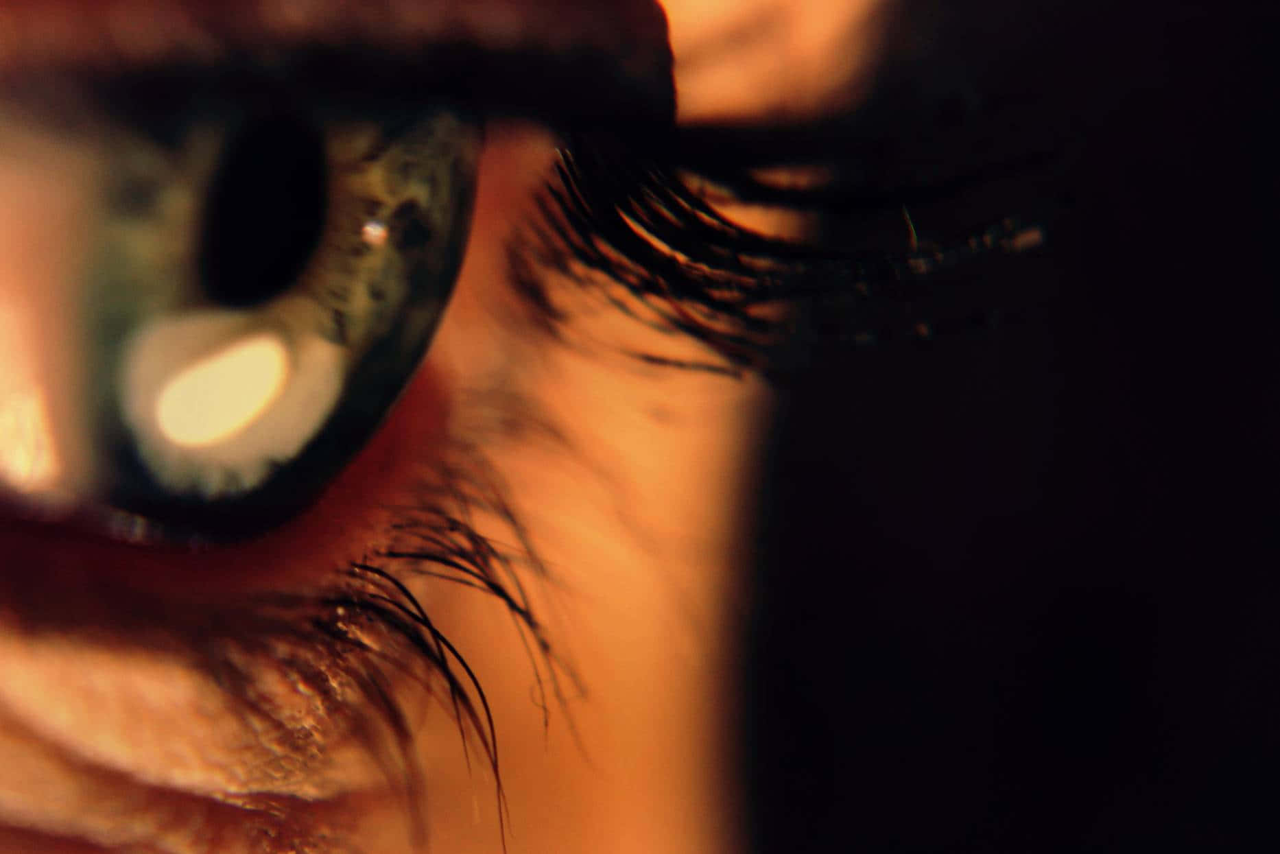 eye, long lashes, green iris, HD Desktop Wallpaper