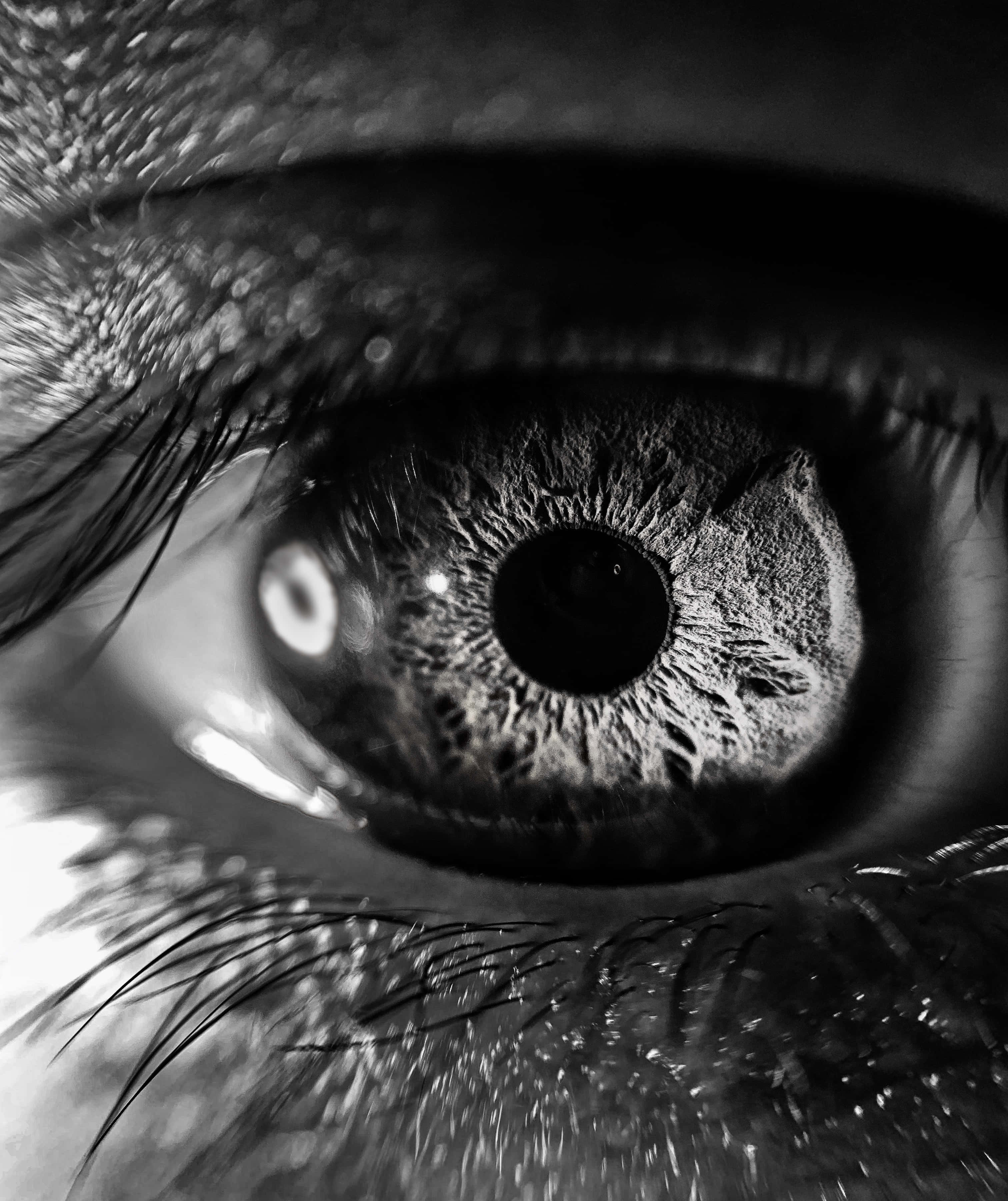 black and white, macro photography, human eye, 2K Phone Wallpaper