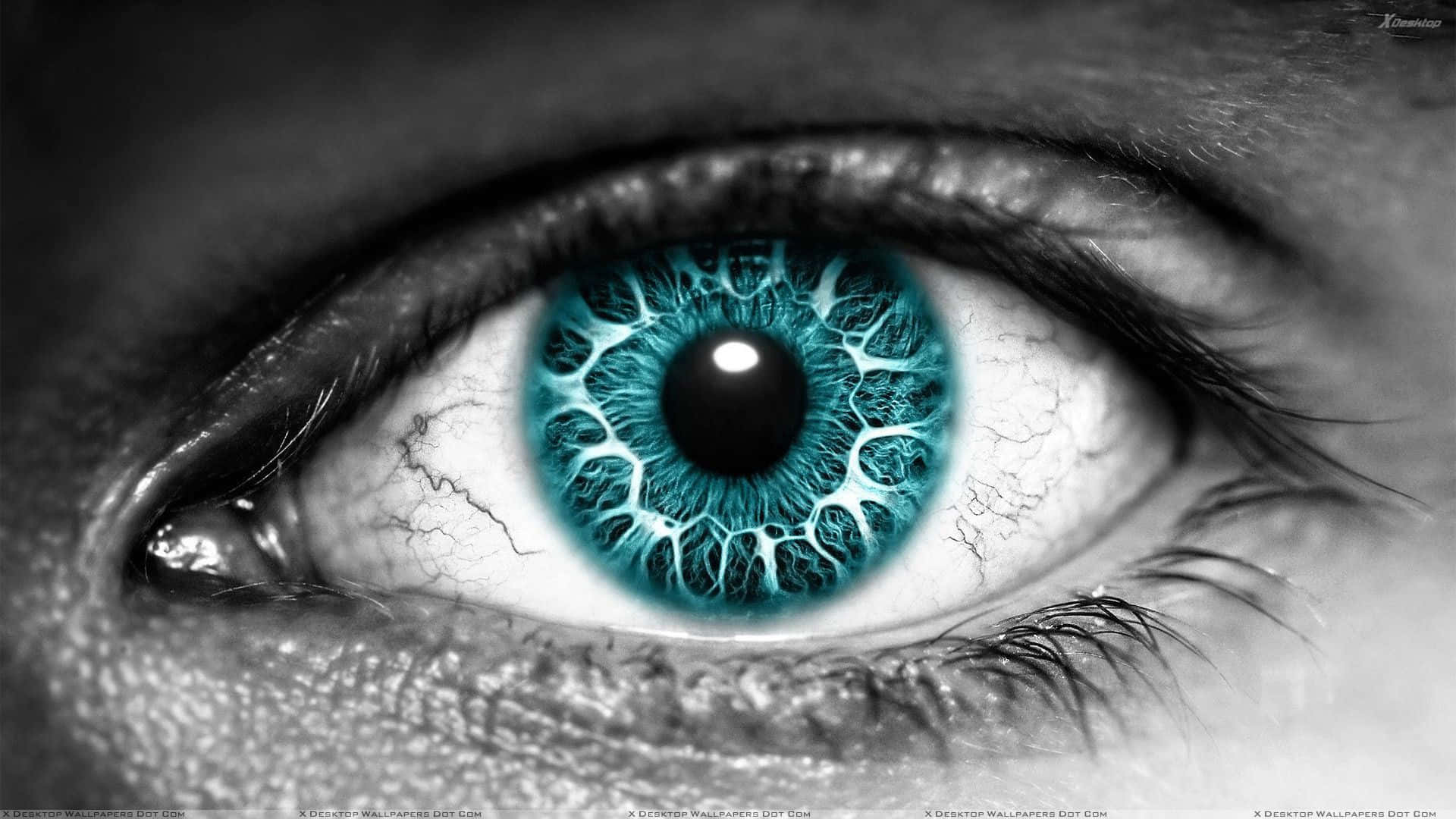 eye, turquoise, coral pattern, Full HD Desktop Wallpaper