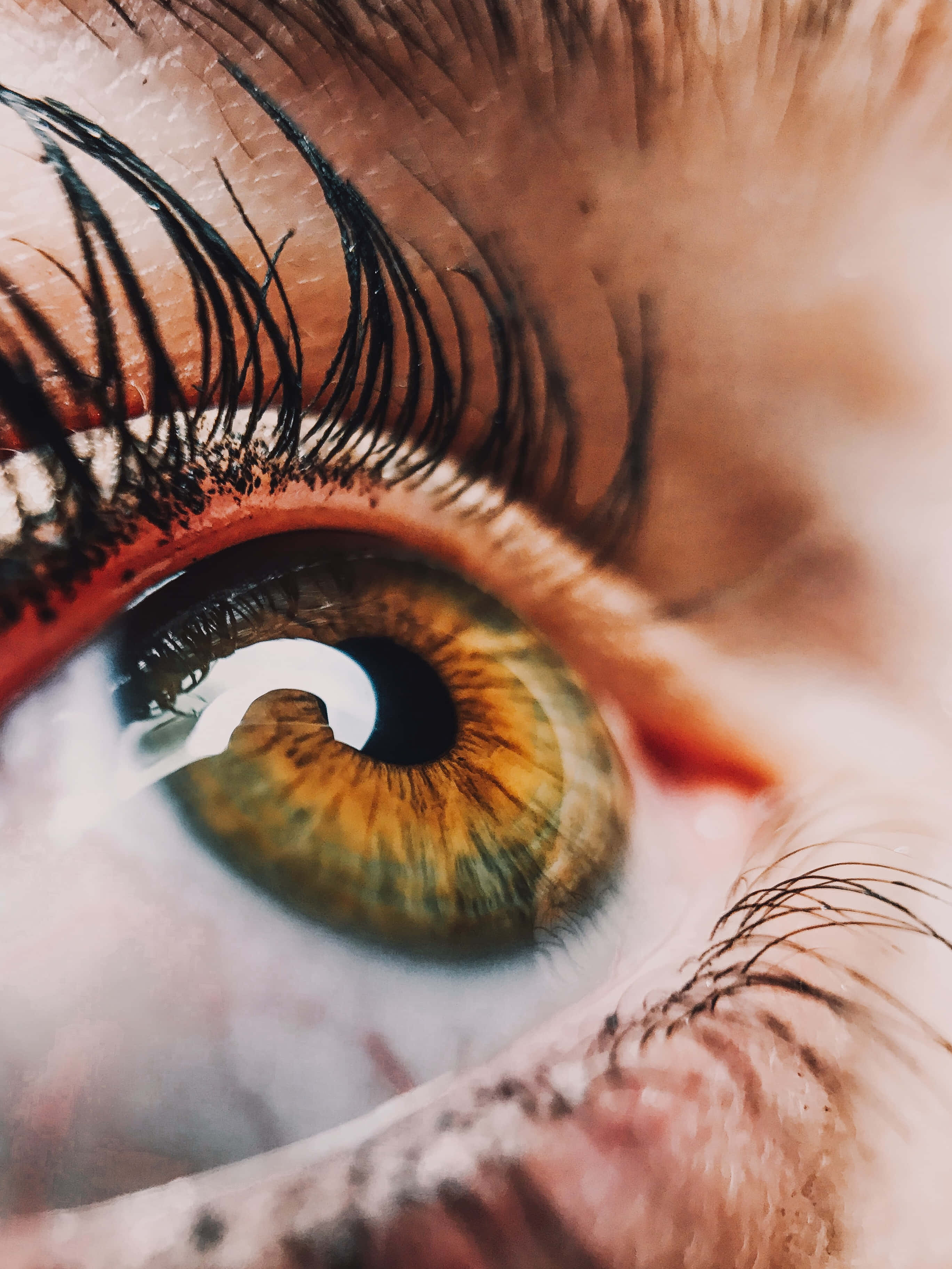 hazel eye, greenish-brown iris, long dark lashes, 2K Phone Wallpaper