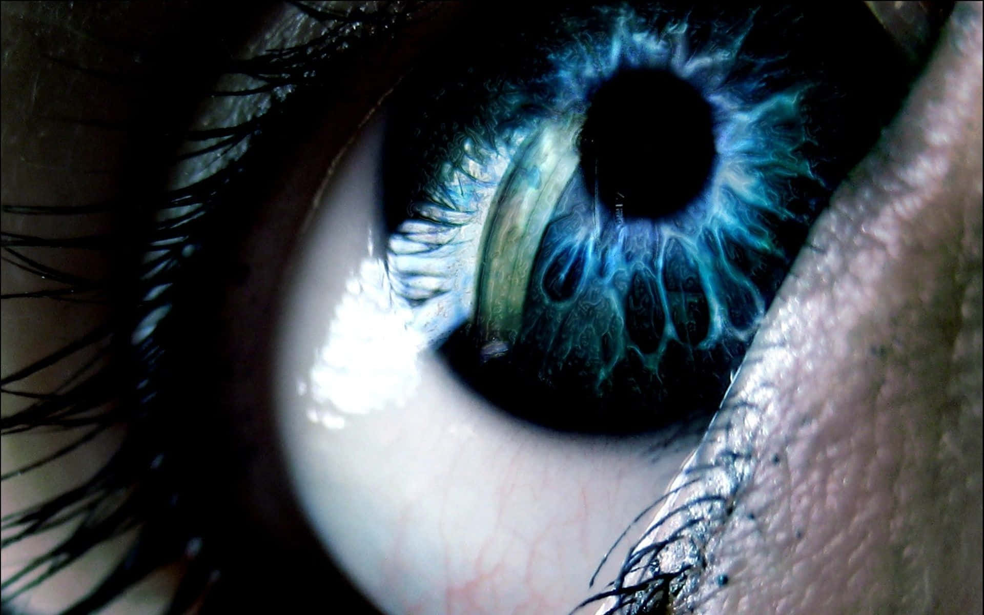 blue eye rays, electric blue irises, human eye, Full HD Desktop Wallpaper