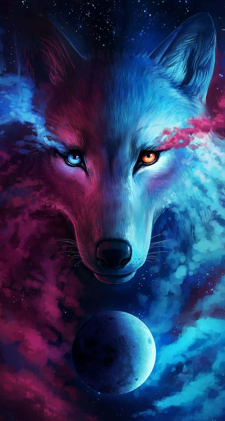 wolf, blue eye, orange eye, HD Phone Wallpaper