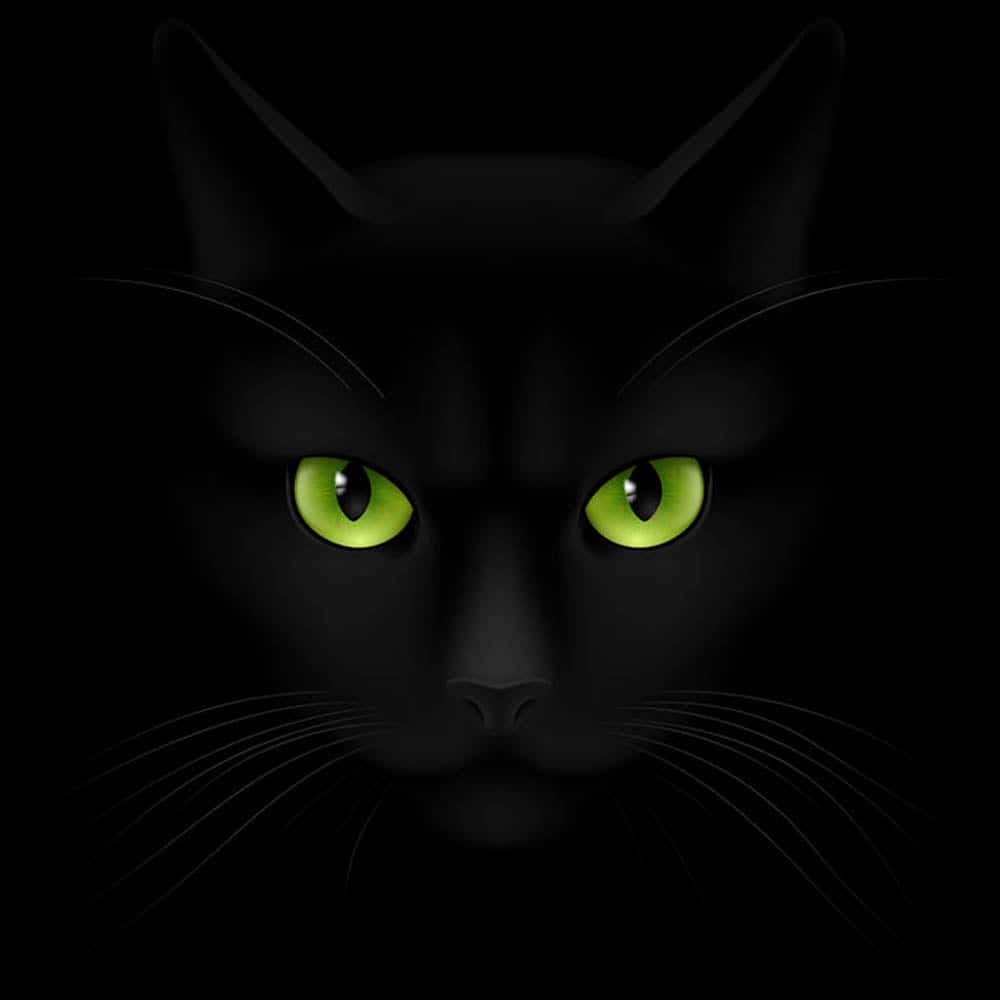 black cat, green eyes, glowing, SD Desktop Wallpaper