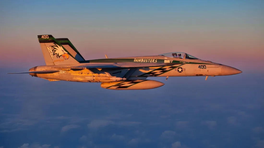 F-14 Fighter Jet