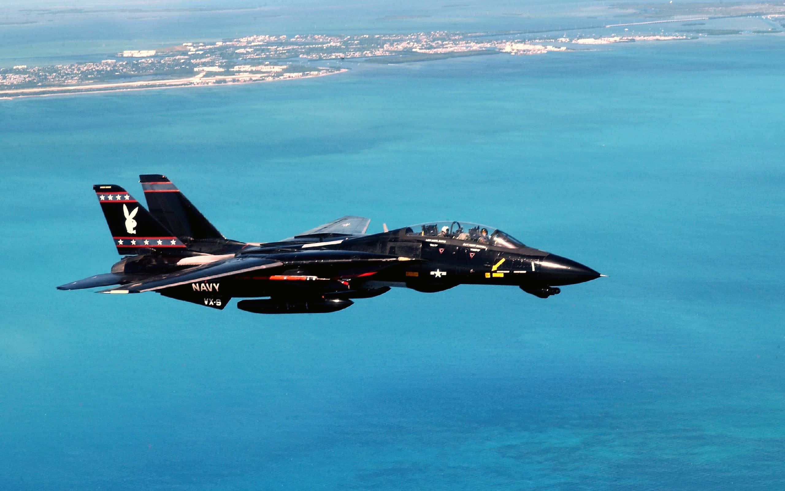 F-14 Fighter Jet, black, bunny logo, 2K Desktop Wallpaper