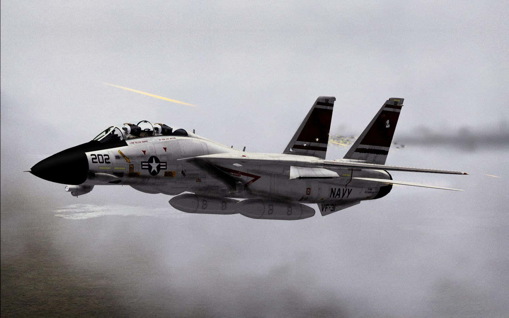 F-14 Fighter Jet, gray, overcast skies, HD Desktop Wallpaper