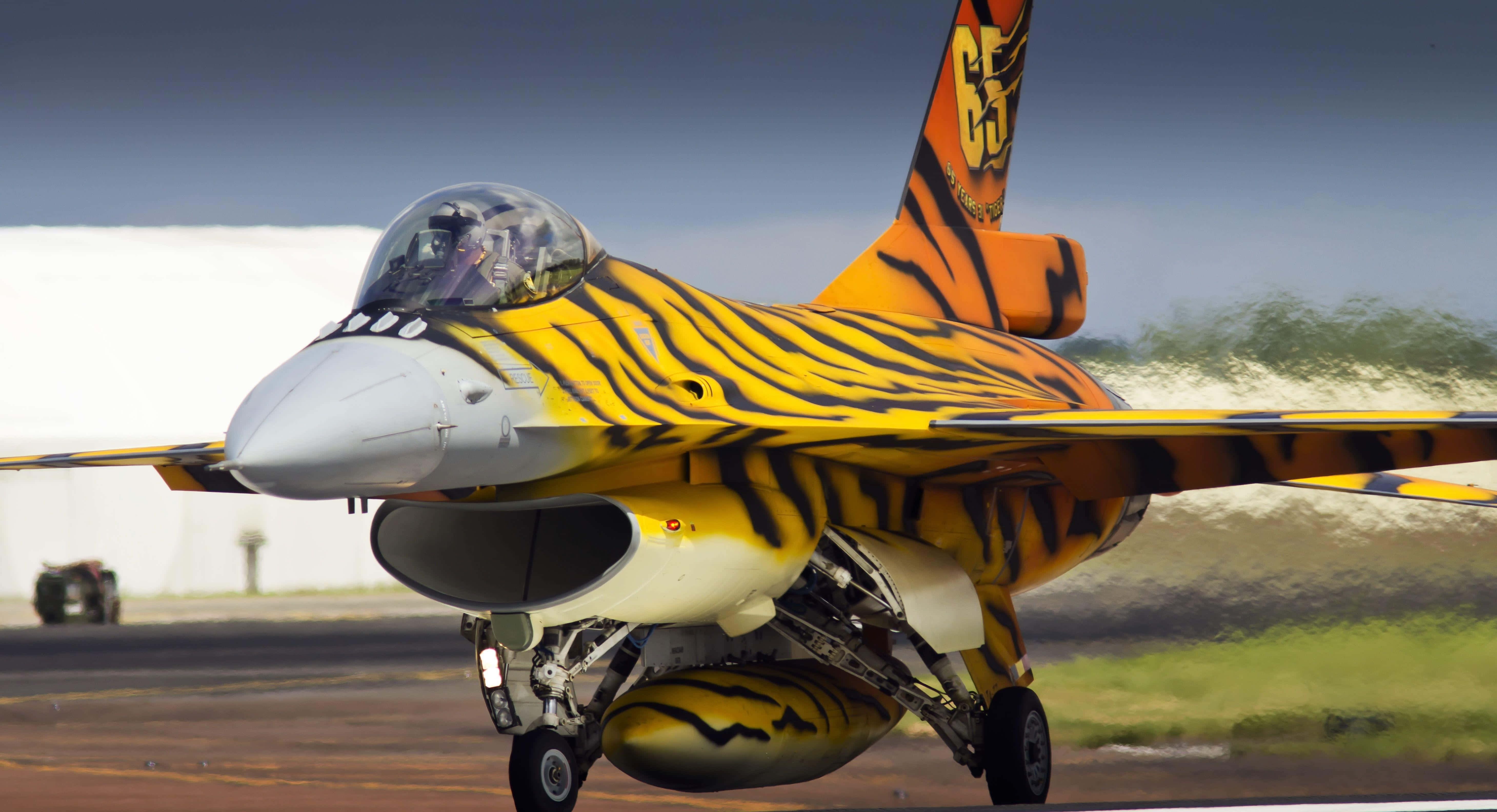F-16, tiger livery, fighter jet, 5K Desktop Wallpaper