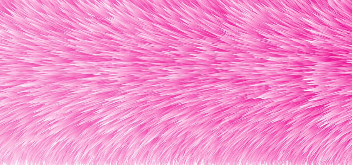 fuzzy fur, vibrant pink, soft white highlights, SD Desktop Wallpaper