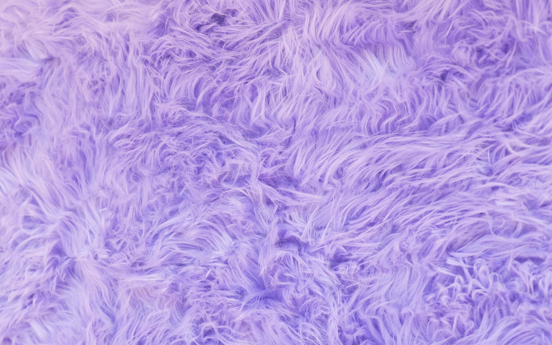fuzzy purple fur, lavender fabric, soft fluffy, HD Desktop Wallpaper